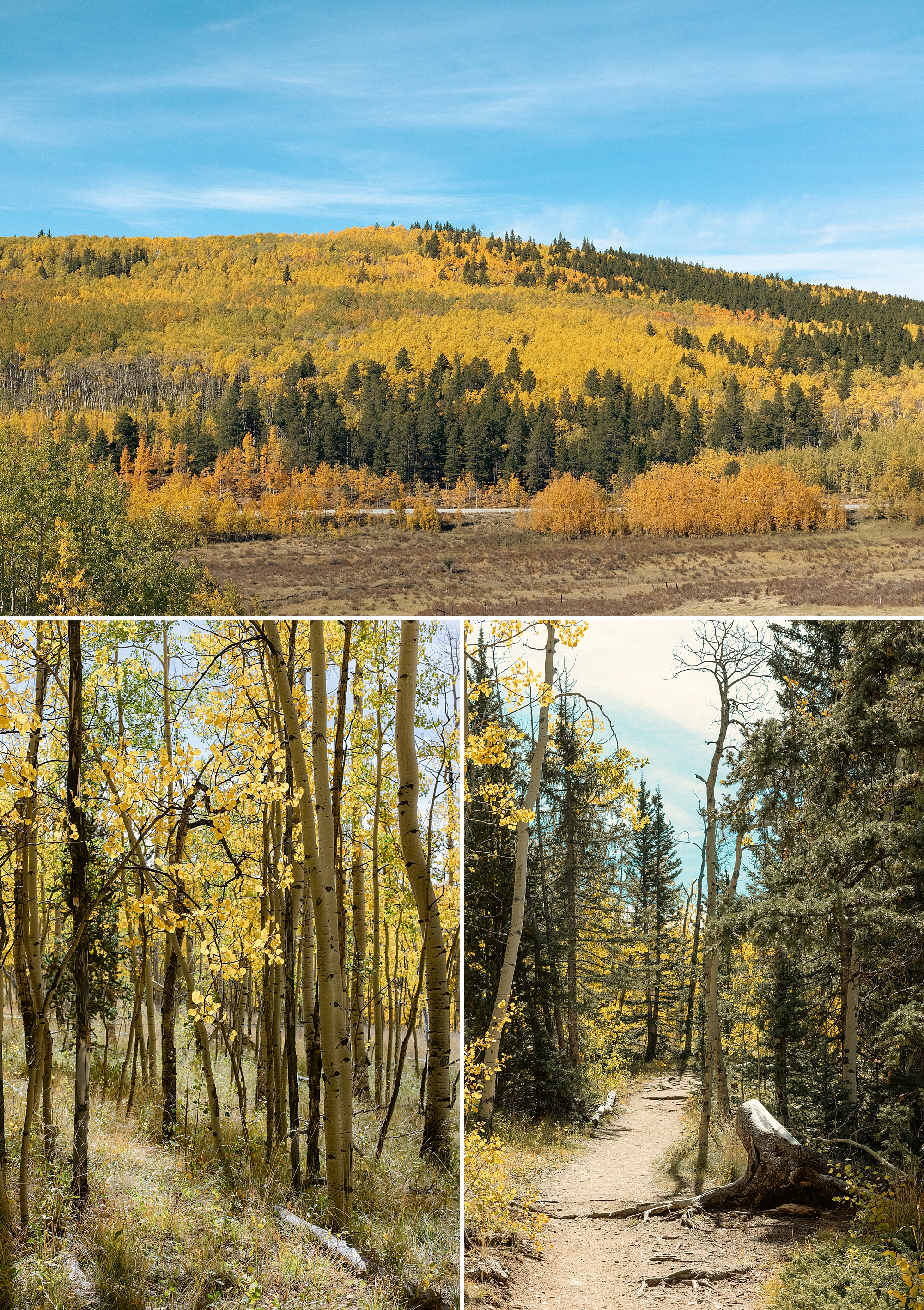 Fall in Kenosha Pass Colorado, Colorado Landscape Photography