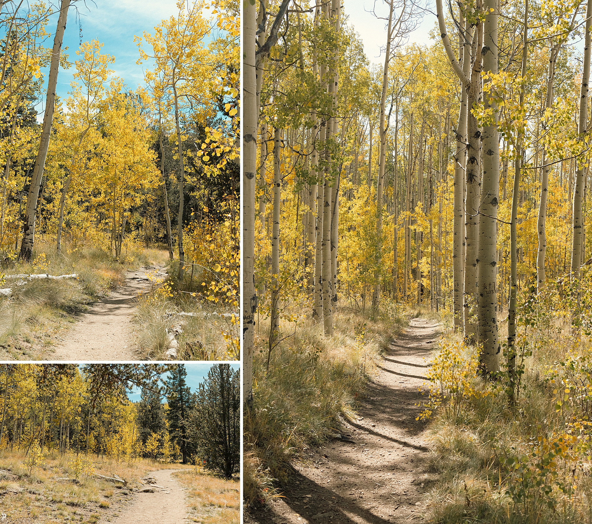 Fall in Kenosha Pass Colorado, Colorado Landscape Photography