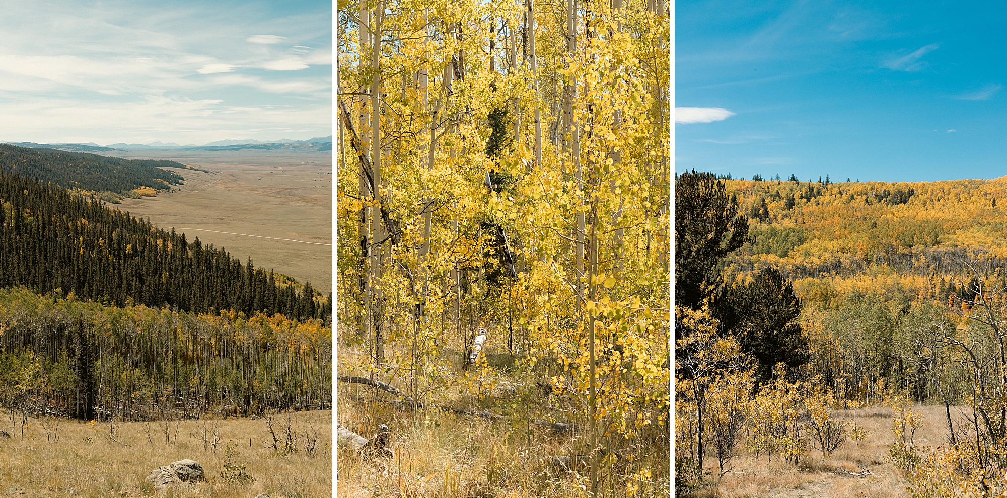 Fall in Kenosha Pass Colorado, Colorado Landscape Photography