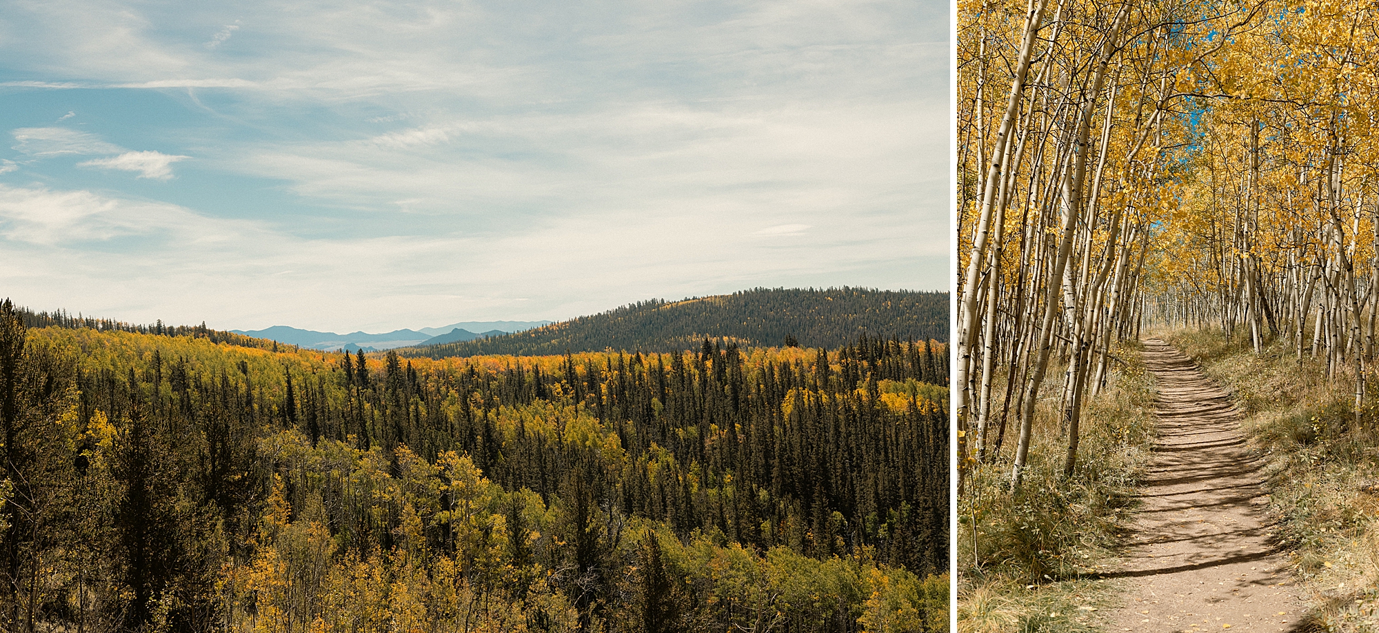 Fall in Kenosha Pass Colorado, Colorado Landscape Photography