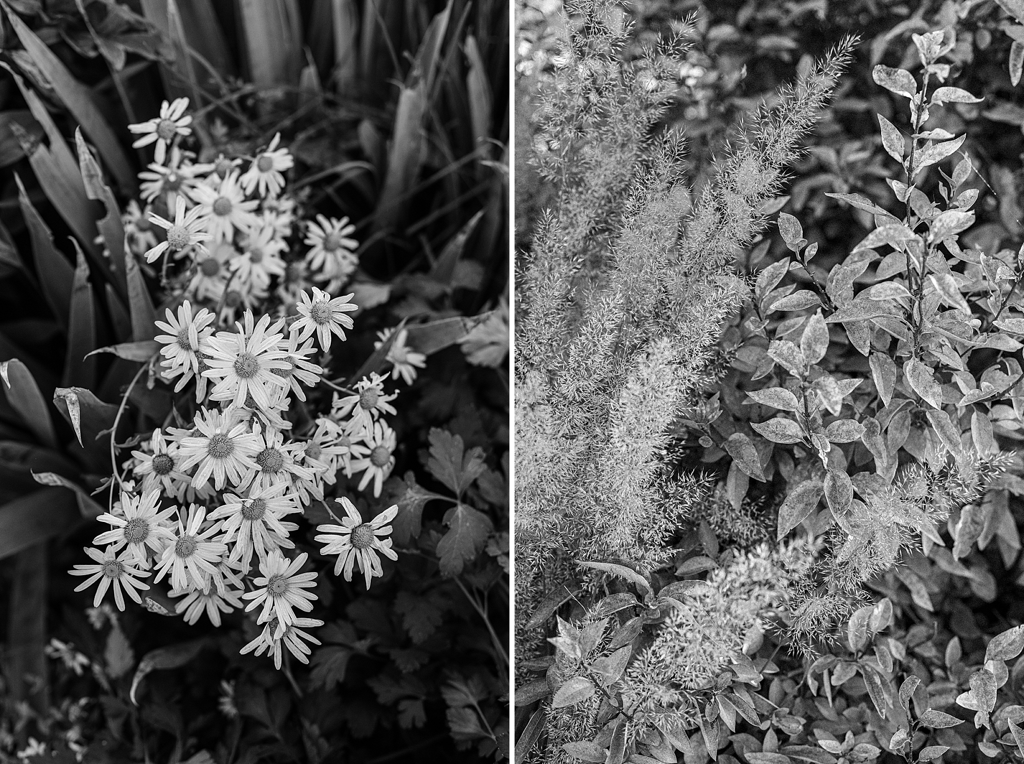 Gardening on a Nebraska Farm