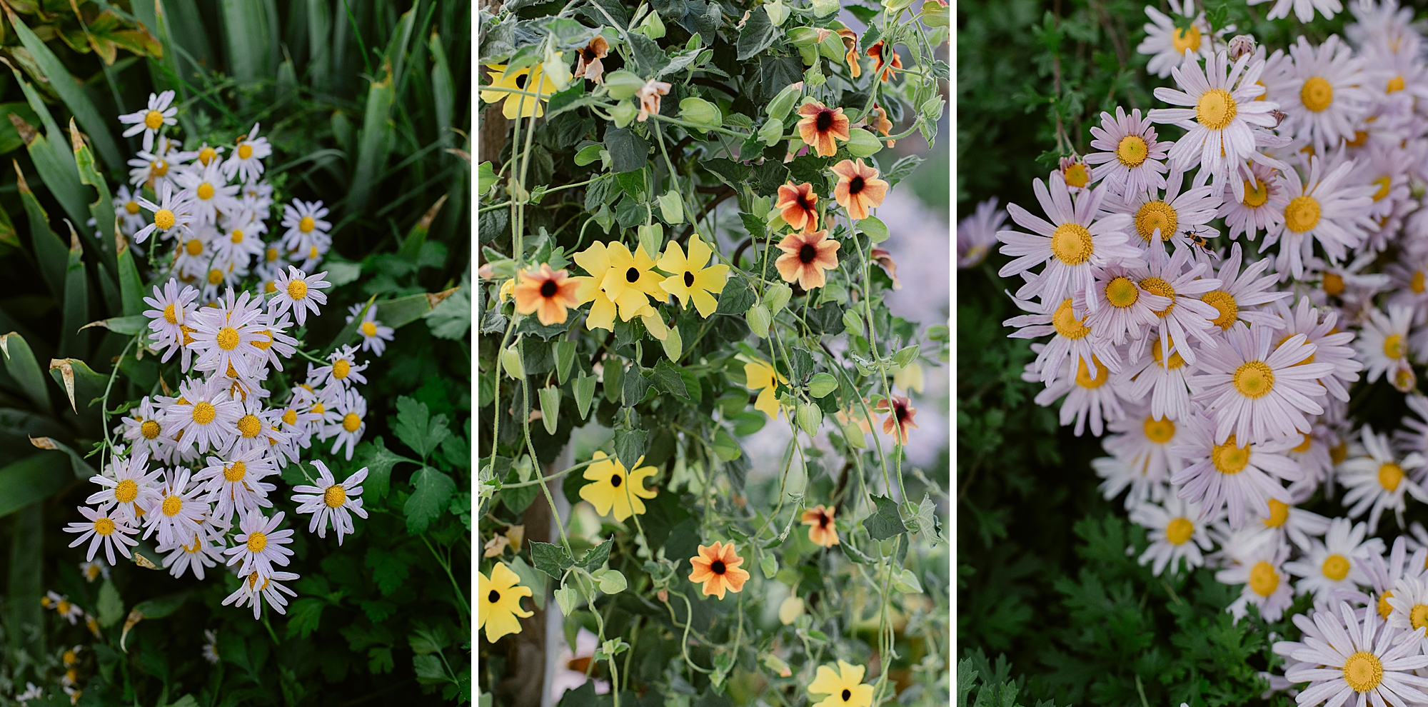 Gardening on a Nebraska Farm