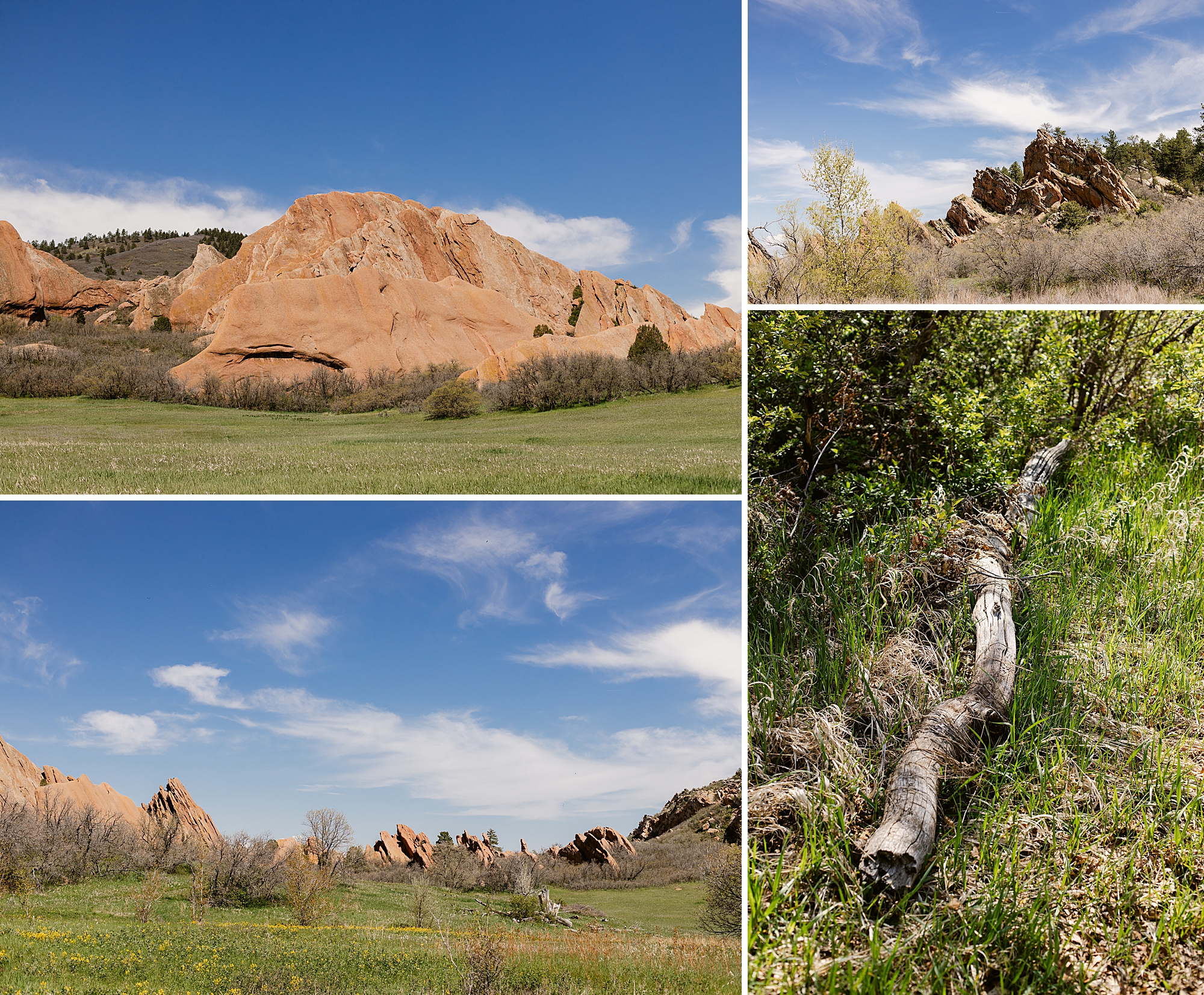 Roxborough State Park Trail in Colorado