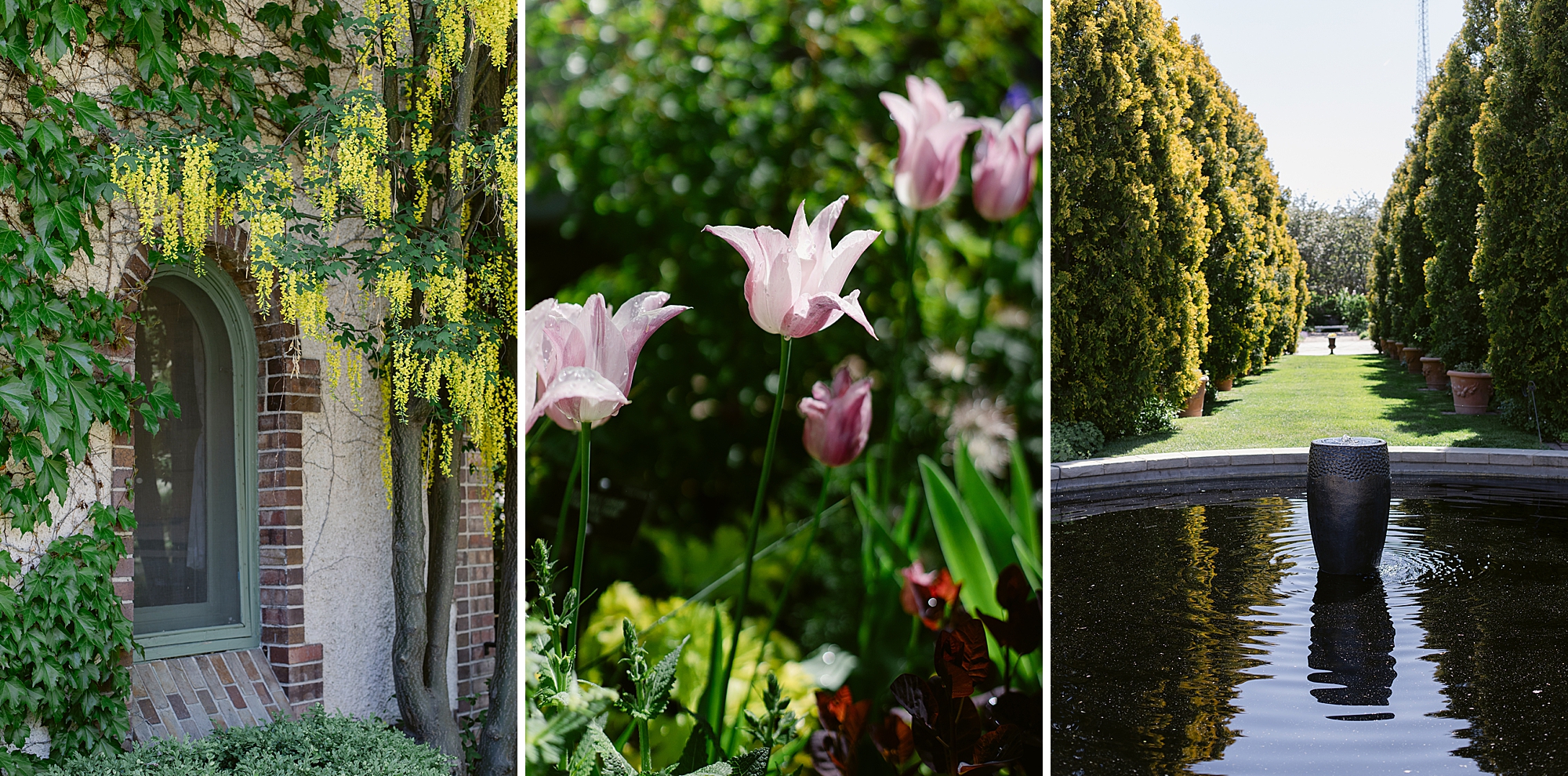 Denver Botanic Gardens on York Street