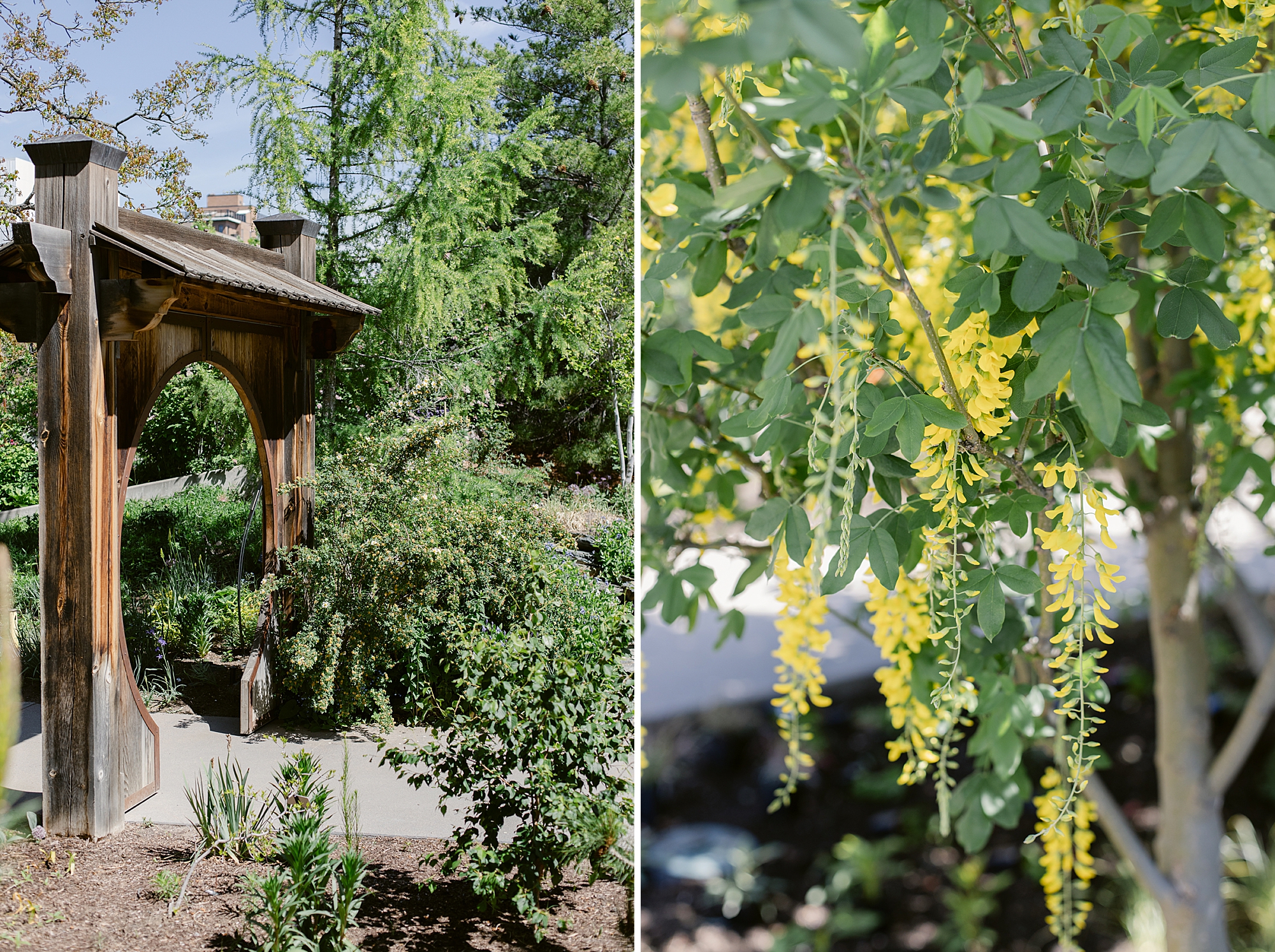 Denver Botanic Gardens on York Street