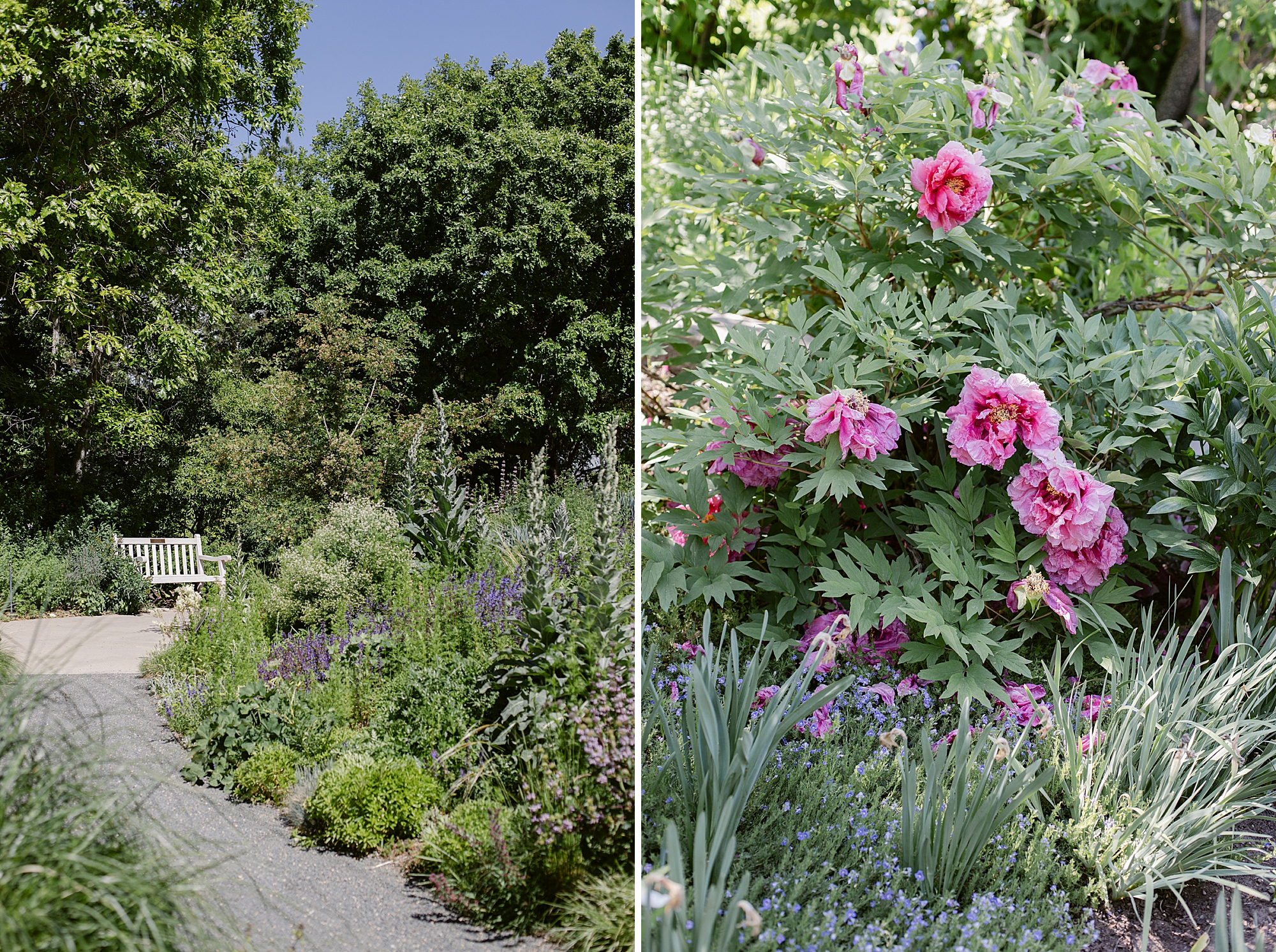 Denver Botanic Gardens on York Street