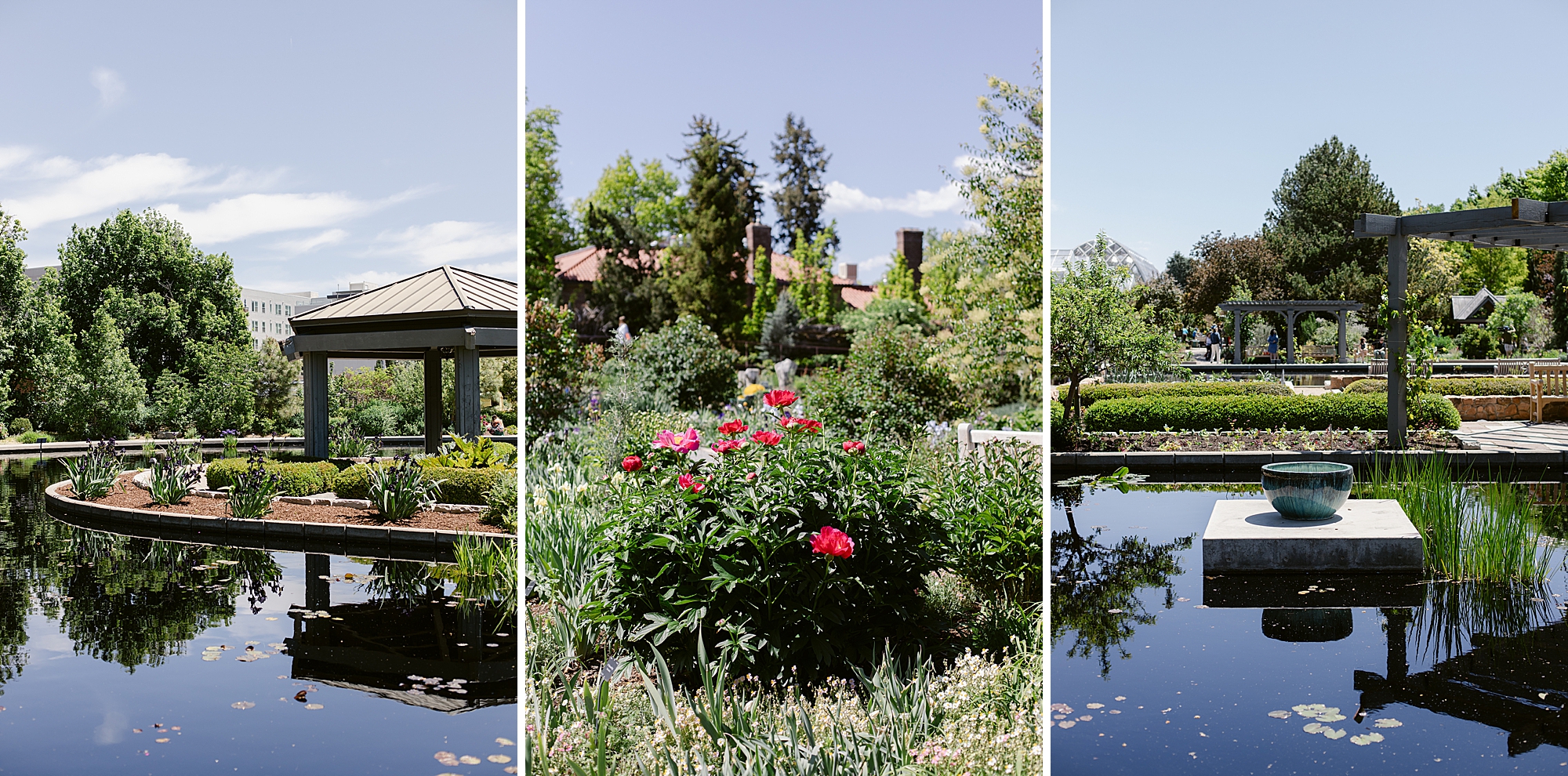 Denver Botanic Gardens on York Street