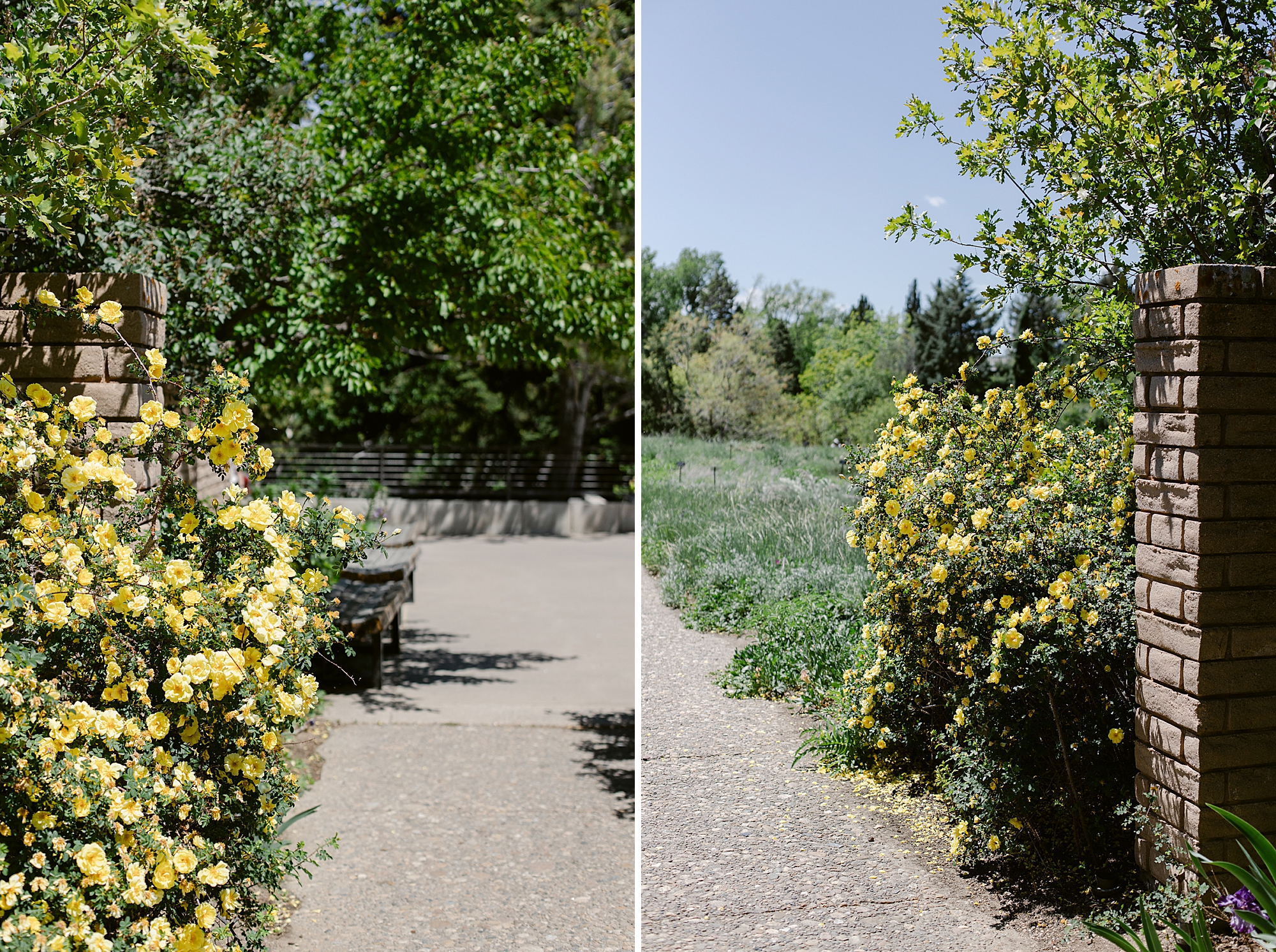 Denver Botanic Gardens on York Street