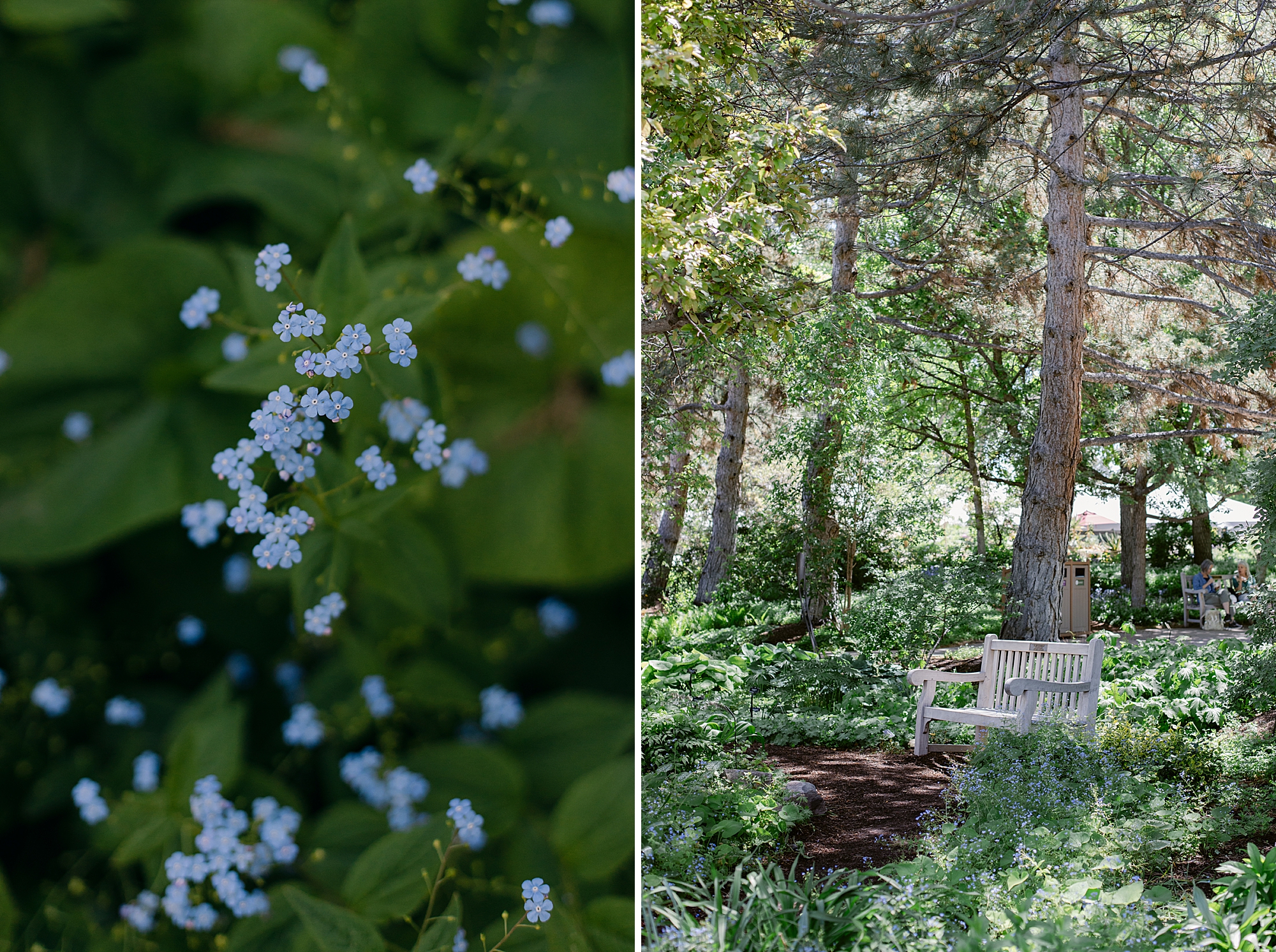 Denver Botanic Gardens on York Street