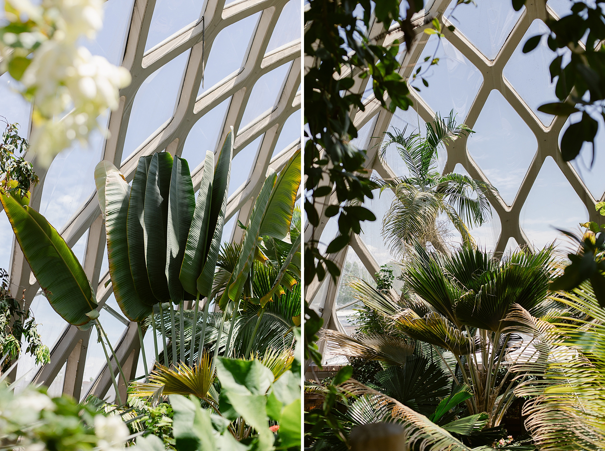 Denver Botanic Gardens on York Street