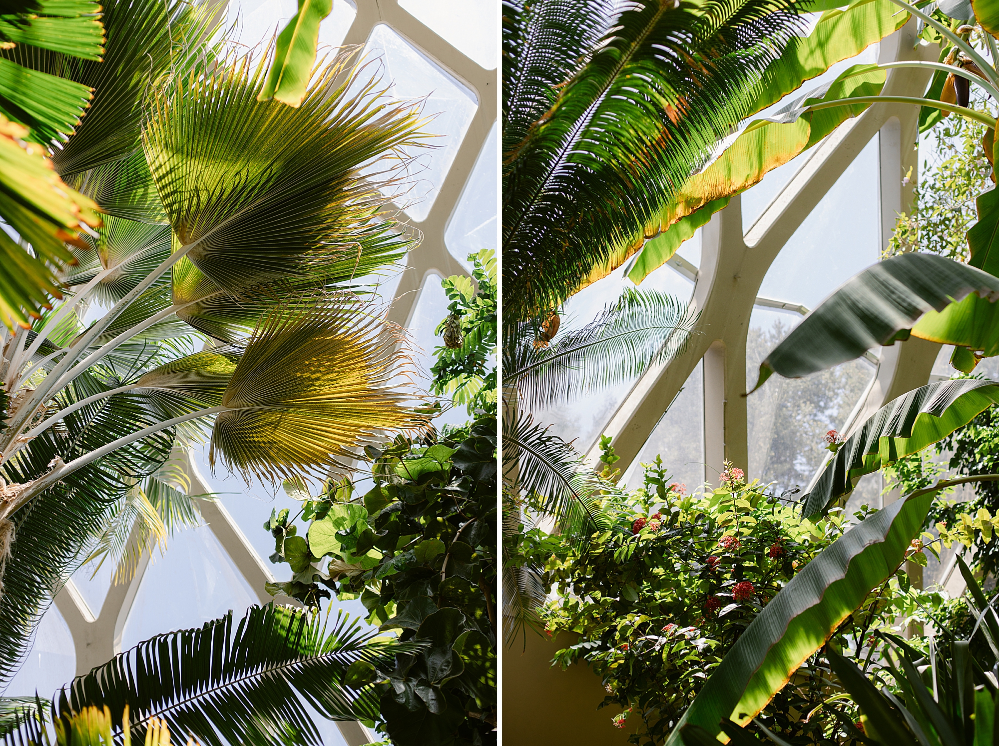 Denver Botanic Gardens on York Street