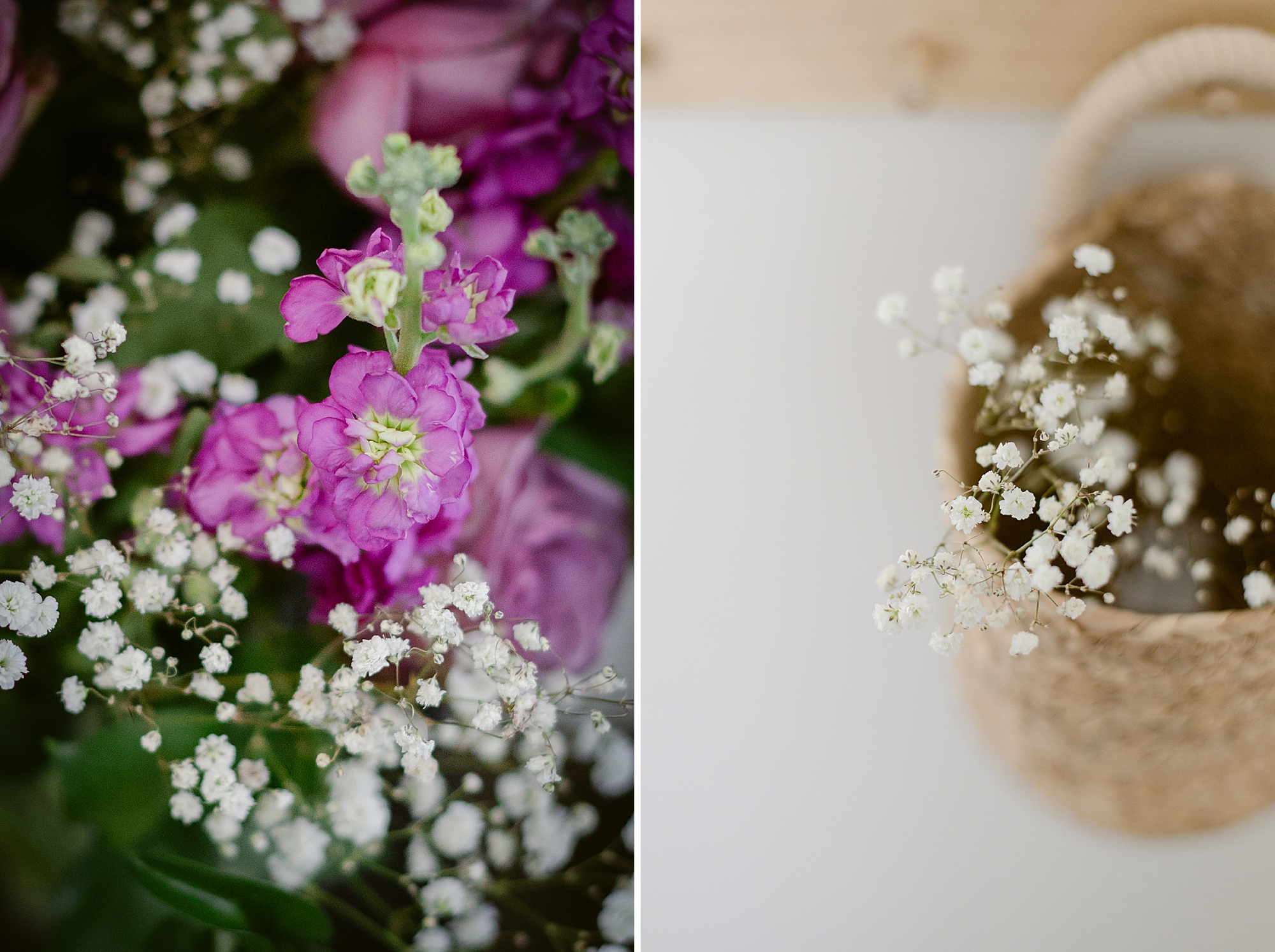 A February Bouquet of flowers to brighten up a winter day in Colorado photographed by Floral Photographer Brenda Landrum