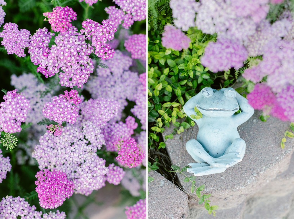 All the beautiful flowers blooming and 4th of July fireworks on the farm.