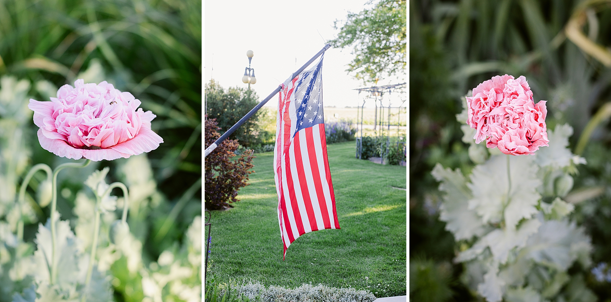 All the beautiful flowers blooming and 4th of July fireworks on the farm.