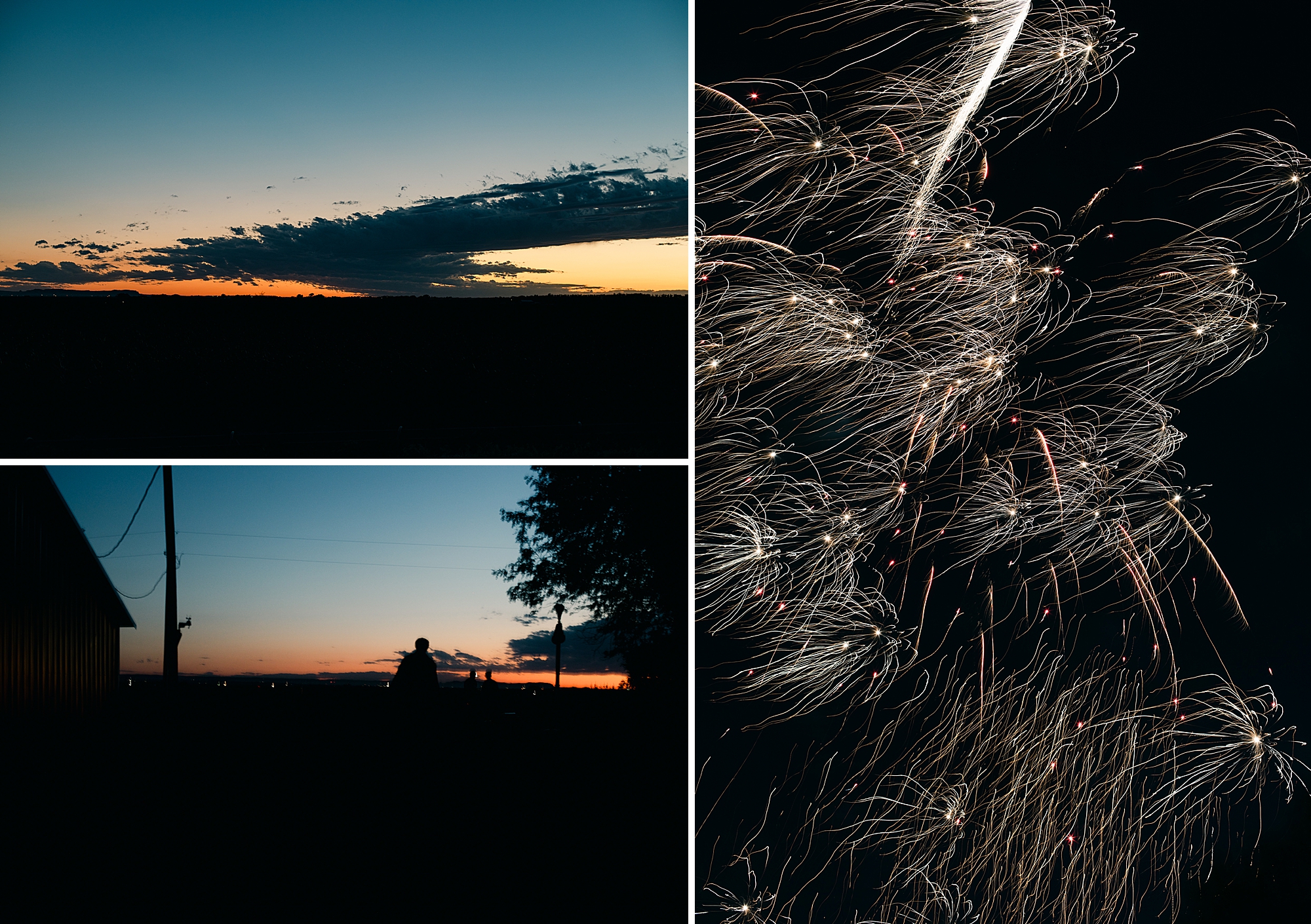 All the beautiful flowers blooming and 4th of July fireworks on the farm.