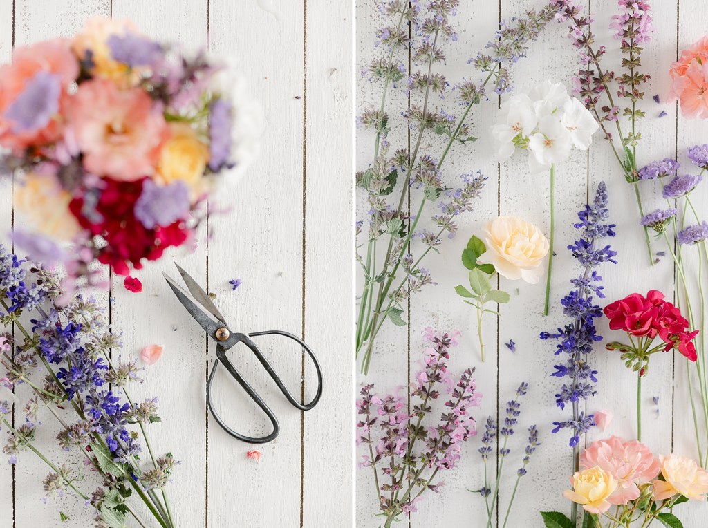 Blooming in the Garden in June, Zone 5b Colorado High Elevation Gardening