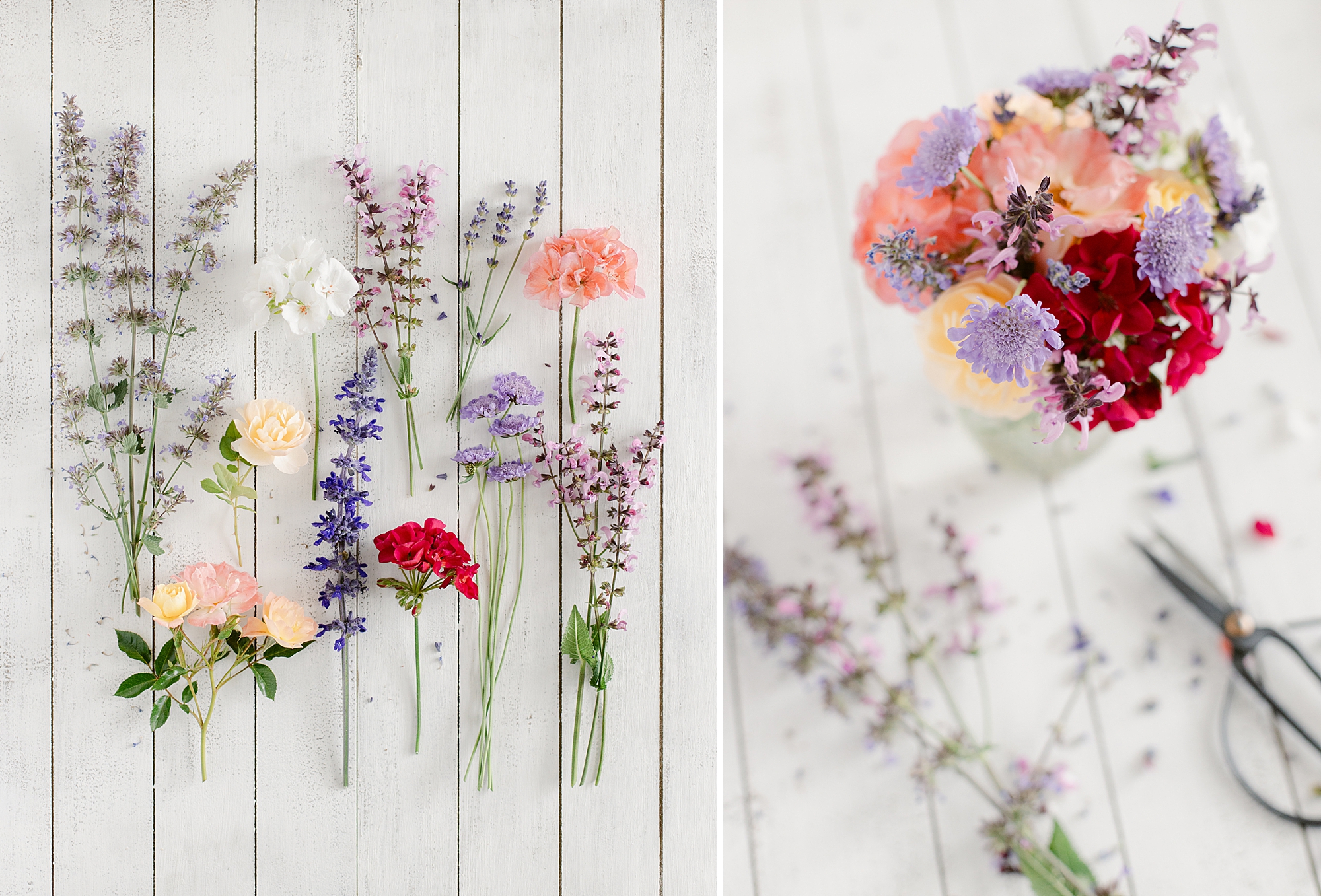 Blooming in the Garden in June, Zone 5b Colorado High Elevation Gardening