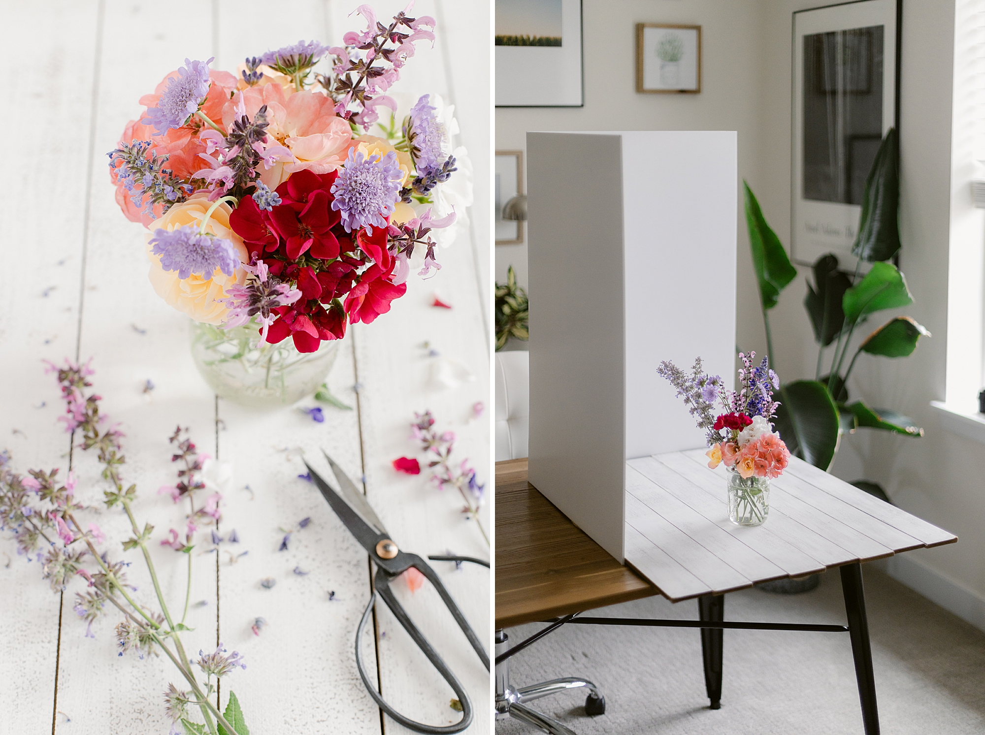 Blooming in the Garden in June, Zone 5b Colorado High Elevation Gardening