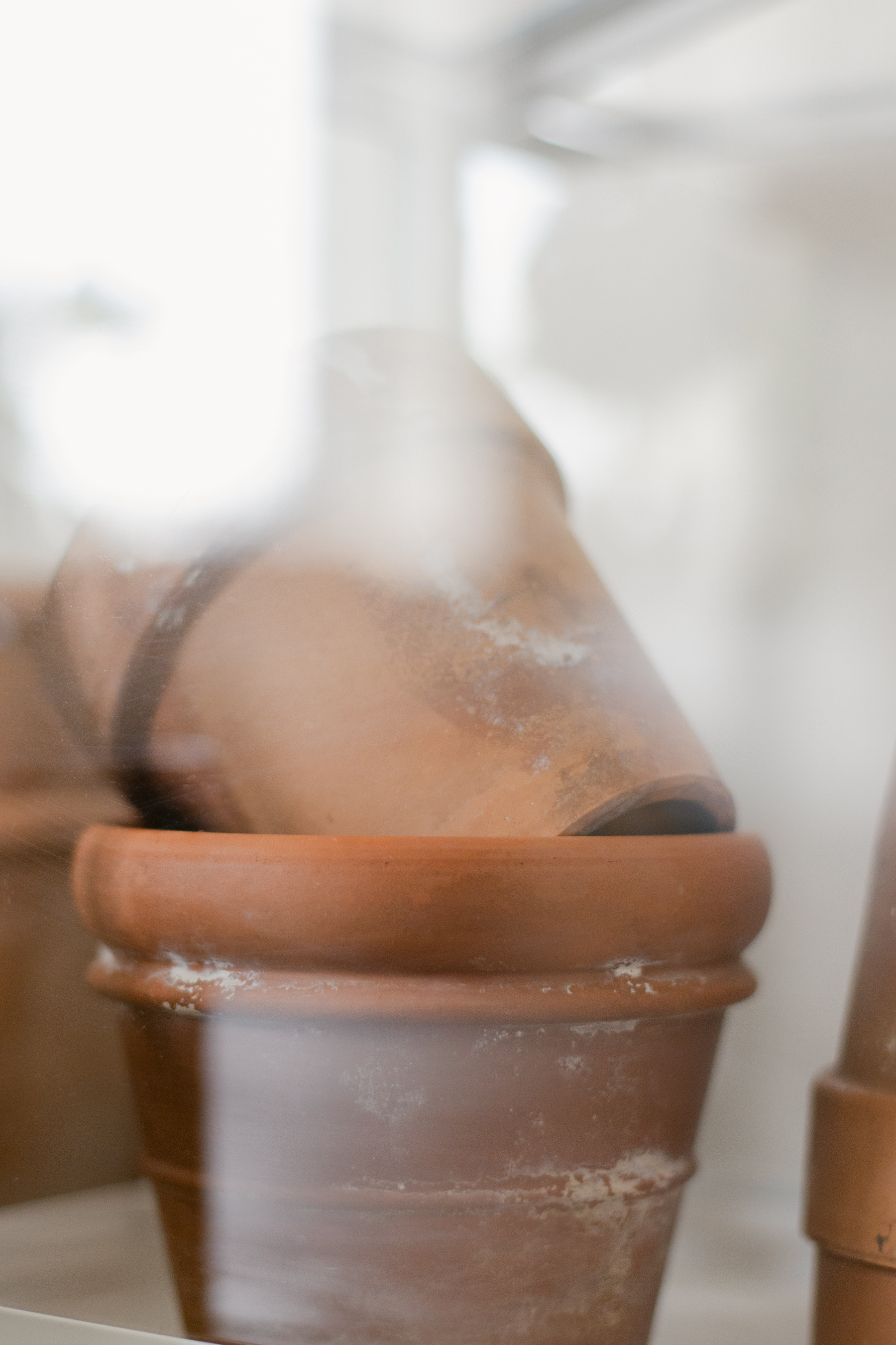 #unfolio week 1 - Brenda Landrum Photographer