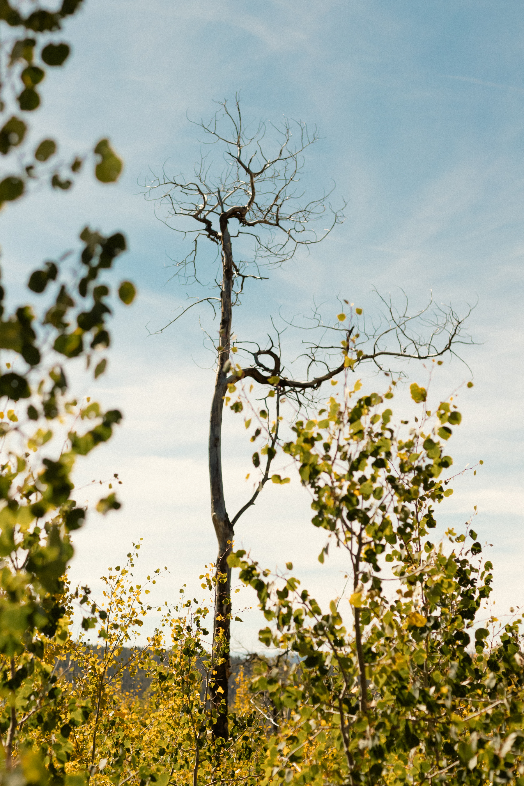 #unfolio week 2 - Brenda Landrum Photographer