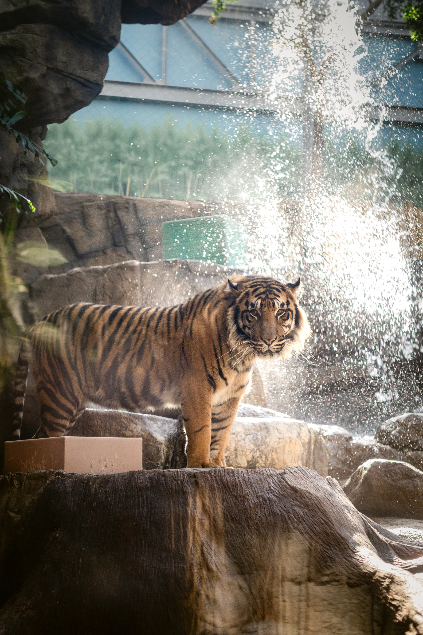 #unfolio week 1 - Brenda Landrum Photographer