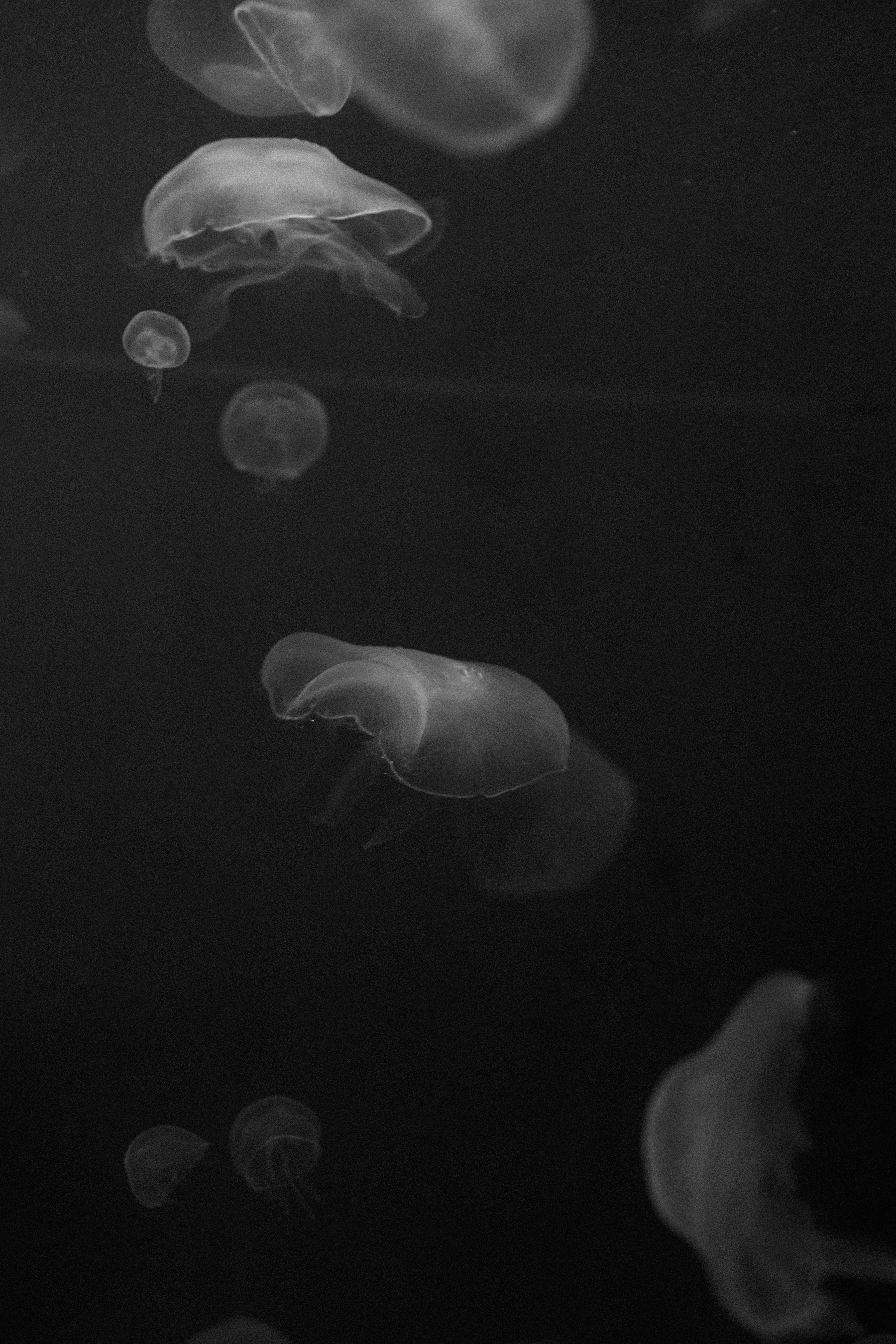 #unfolio week 2 - Brenda Landrum Photographer