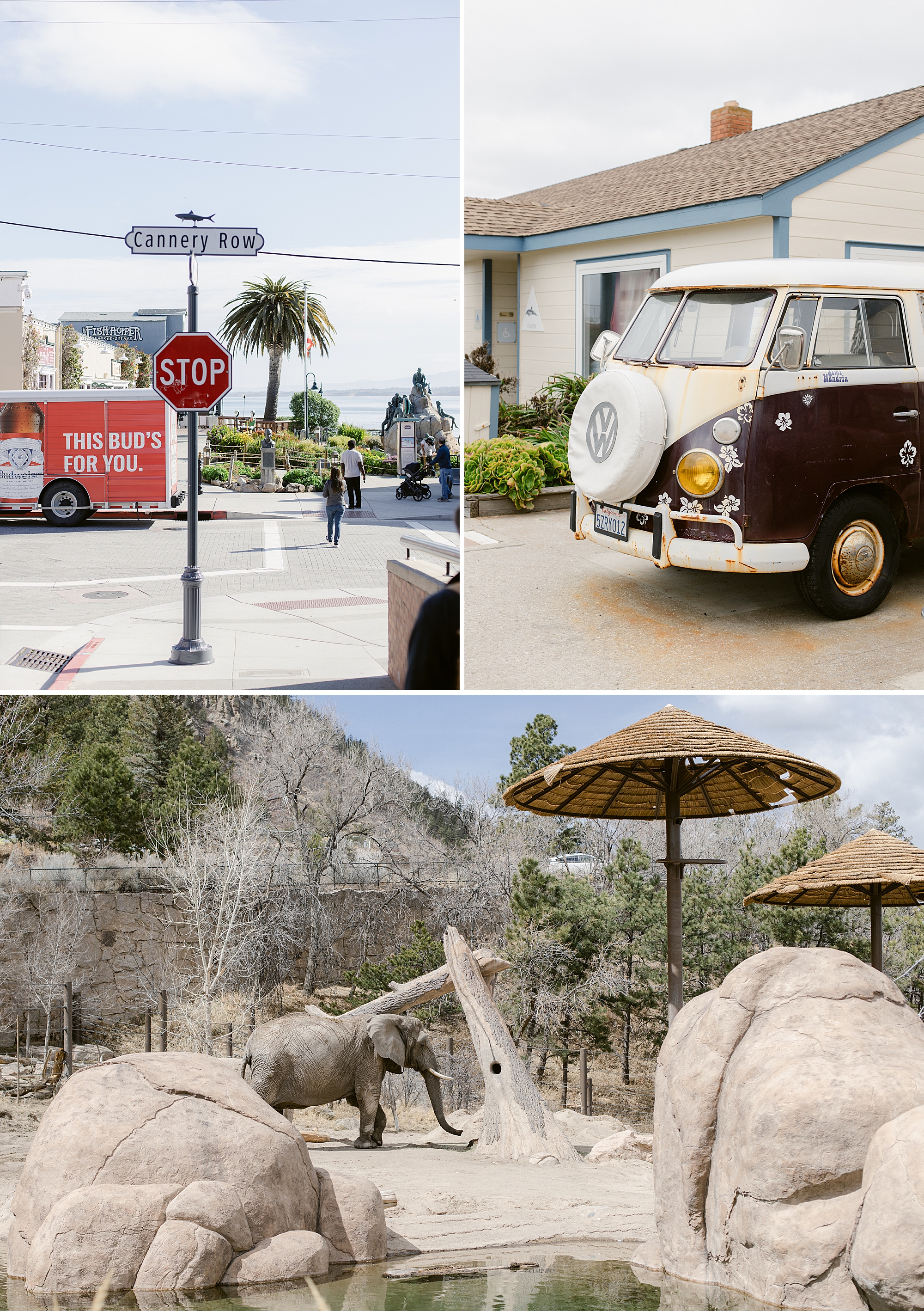 #unfolio week 3 - Brenda Landrum Photographer