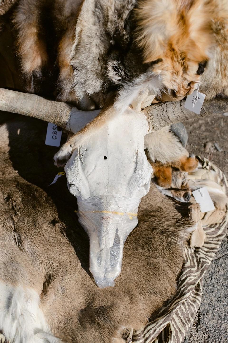 #unfolio week 1 - Brenda Landrum Photographer