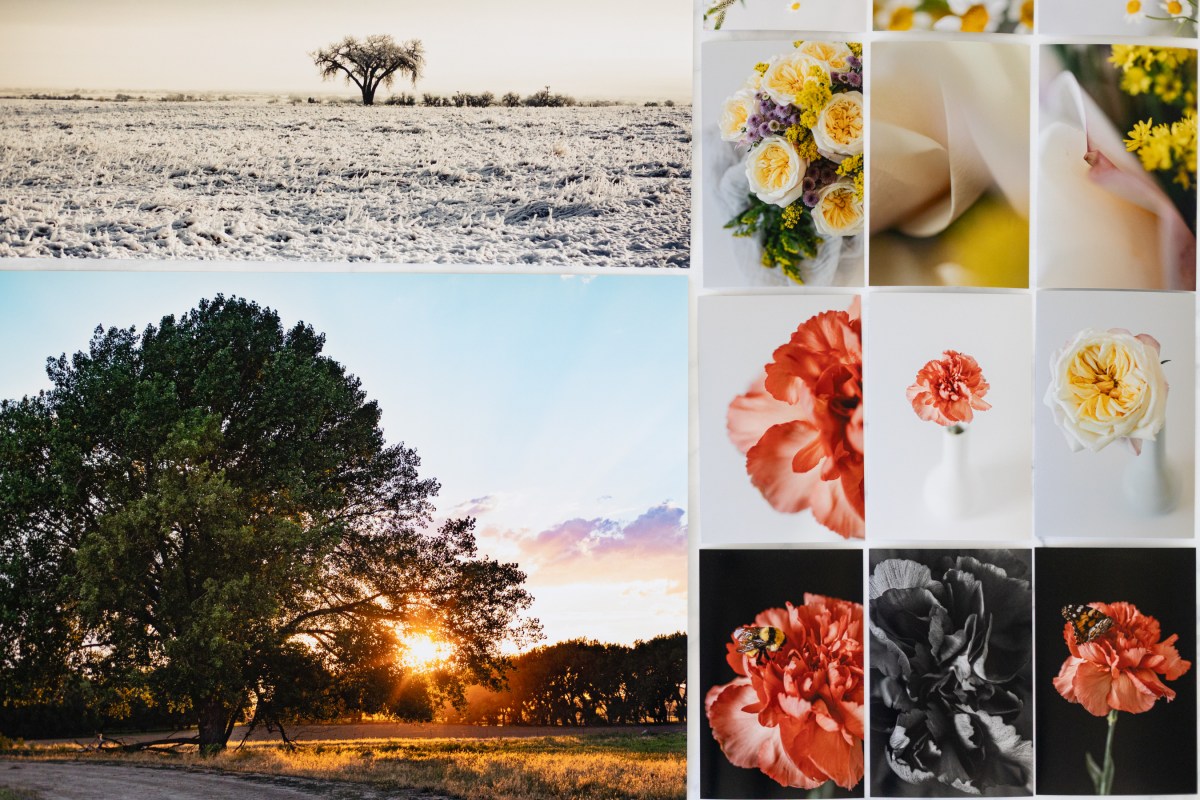 Notes From April