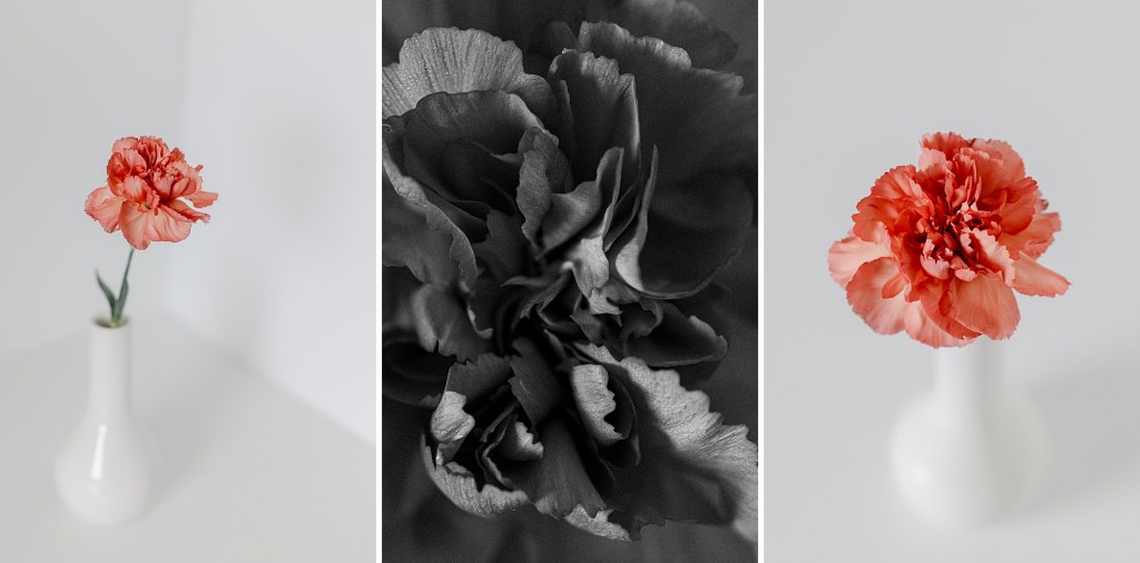 First Floral Bouquet Shoot in 2026, Fine Art Floral Studio by Brenda Landrum