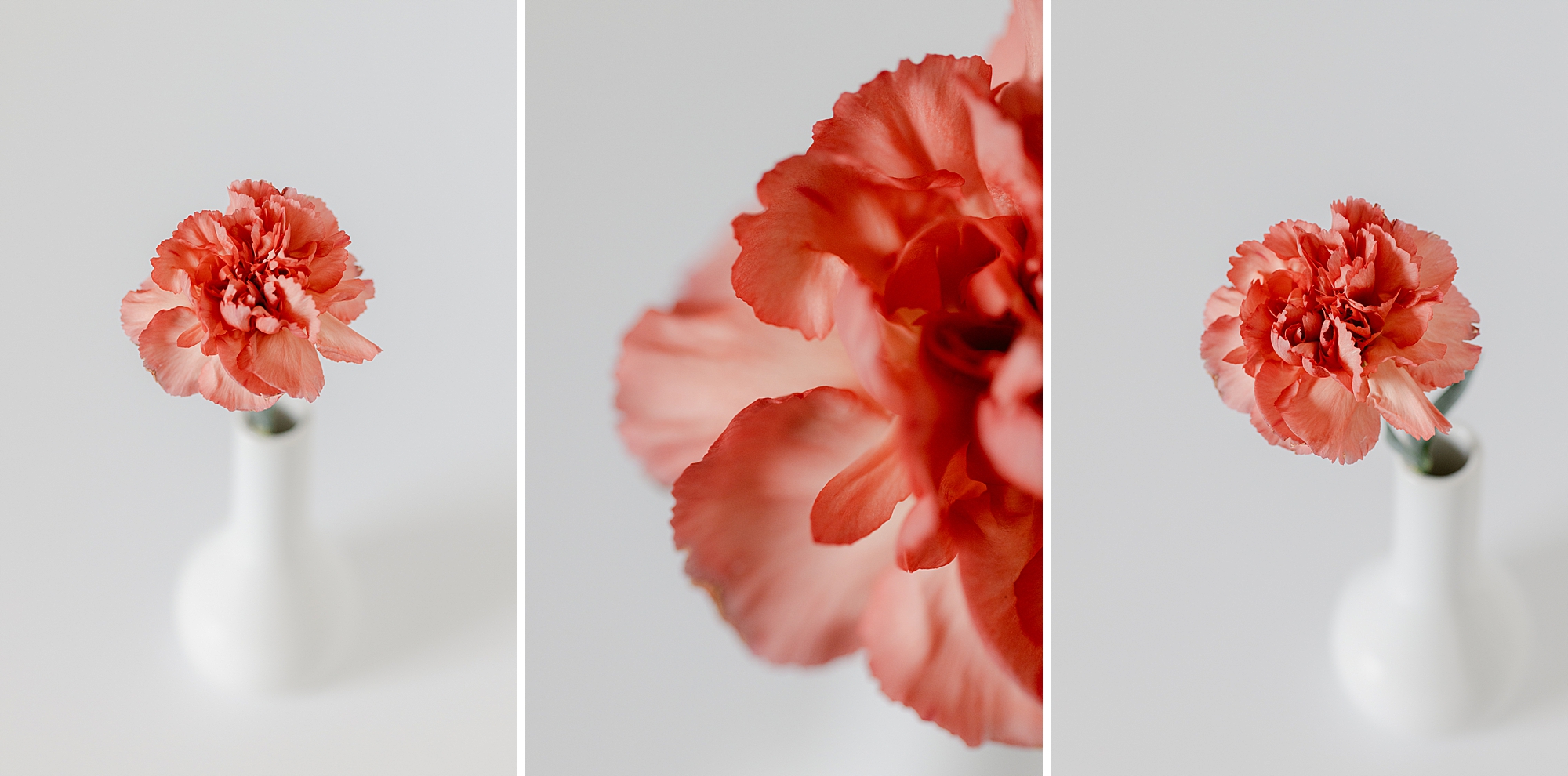 First Floral Bouquet Shoot in 2026, Fine Art Floral Studio by Brenda Landrum