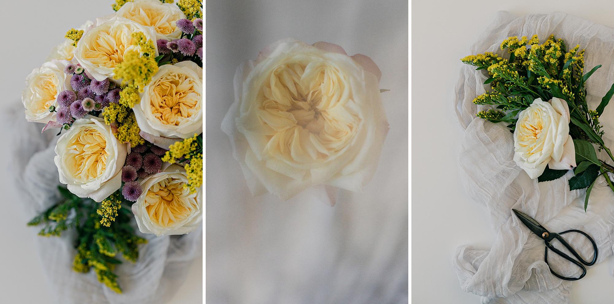 Garden Rose bouquet and details, Fine Art Photography by Brenda Landrum