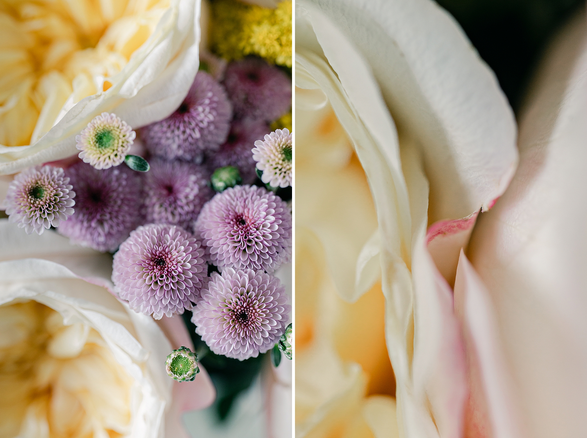 Garden Rose bouquet and details, Fine Art Photography by Brenda Landrum