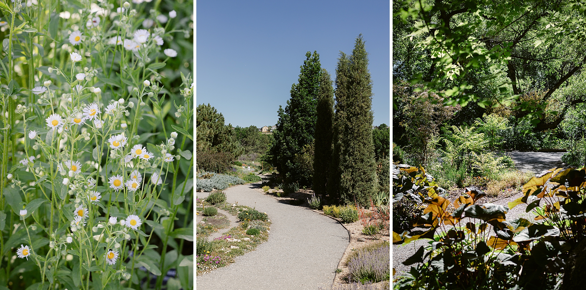 Photographing where you go and finding the beauty in where you are.