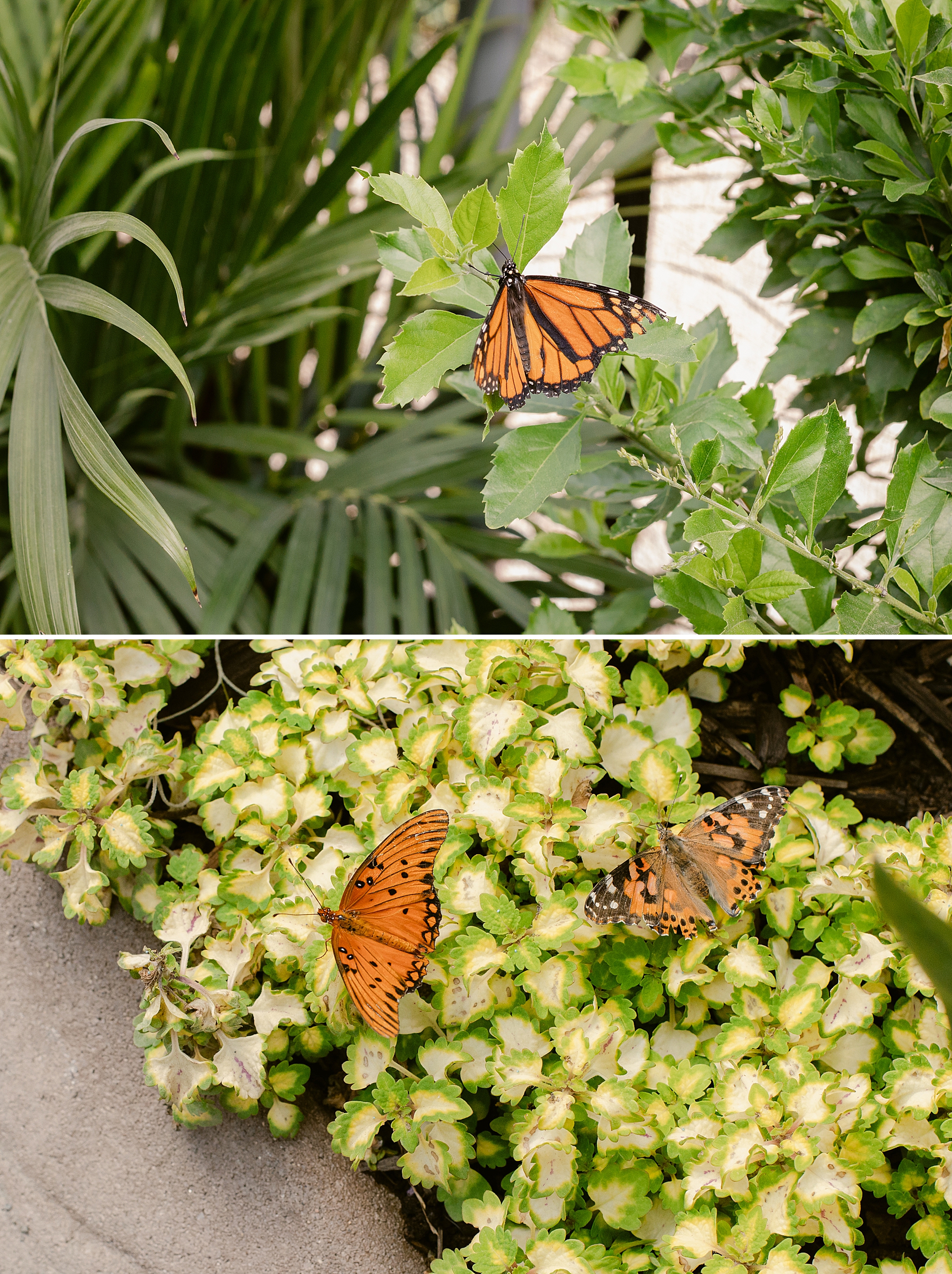 Photographing where you go and finding the beauty in where you are.