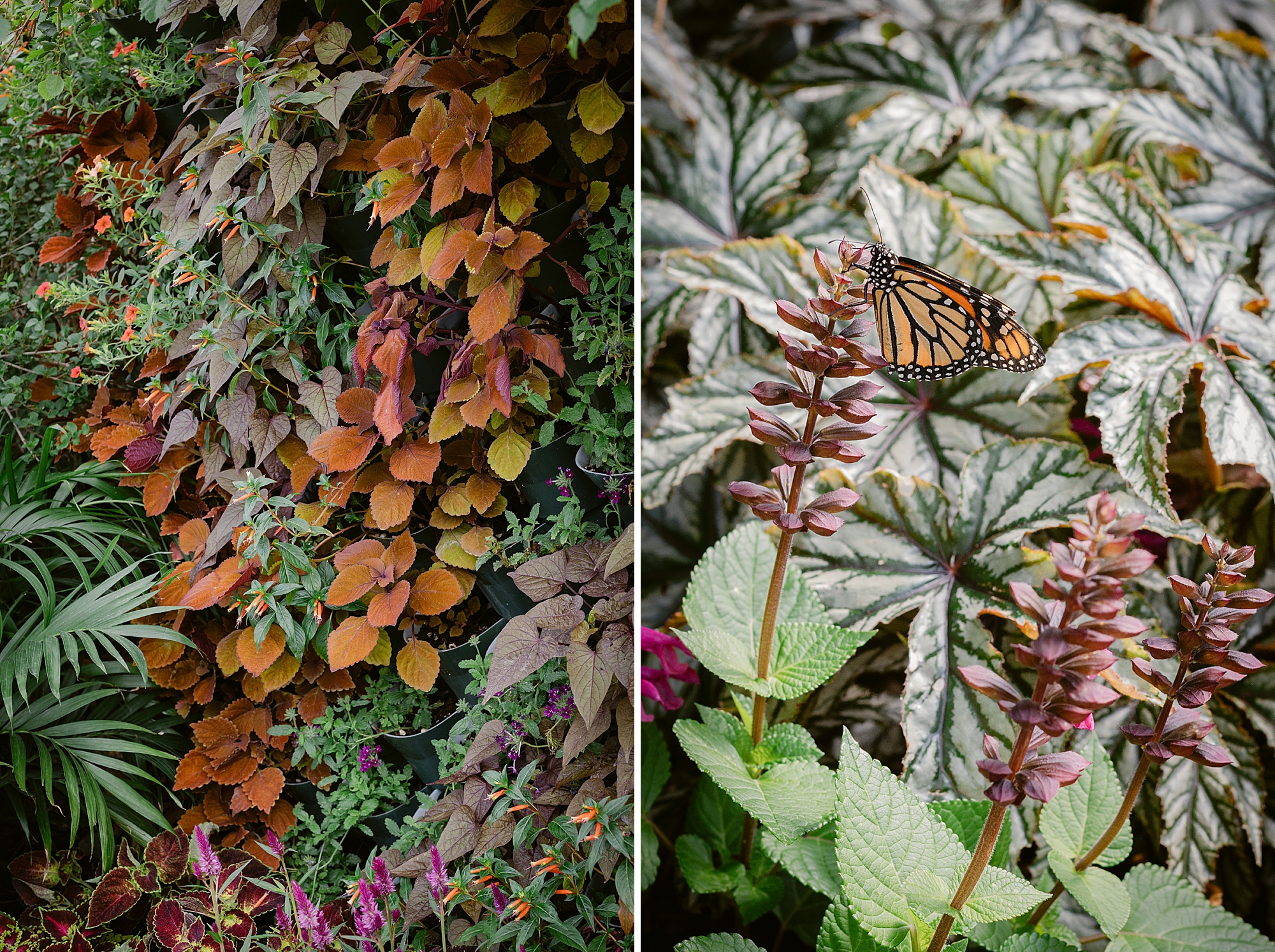 Photographing where you go and finding the beauty in where you are.