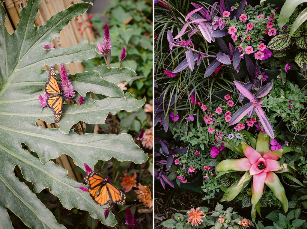 Photographing where you go and finding the beauty in where you are.