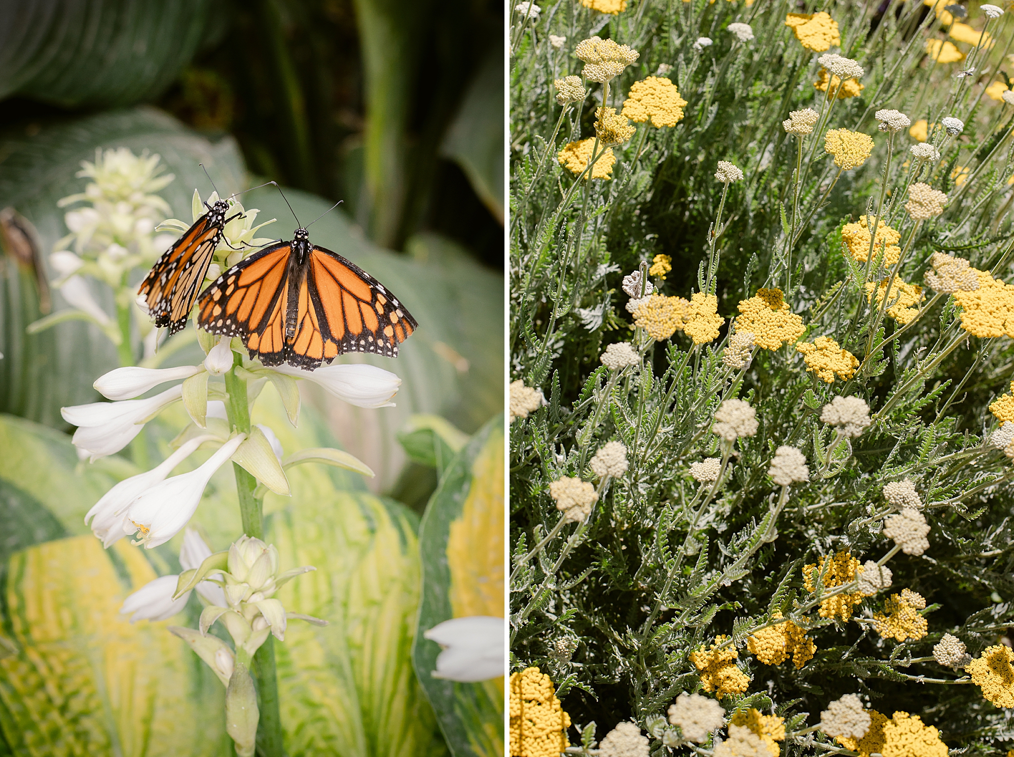 Photographing where you go and finding the beauty in where you are.