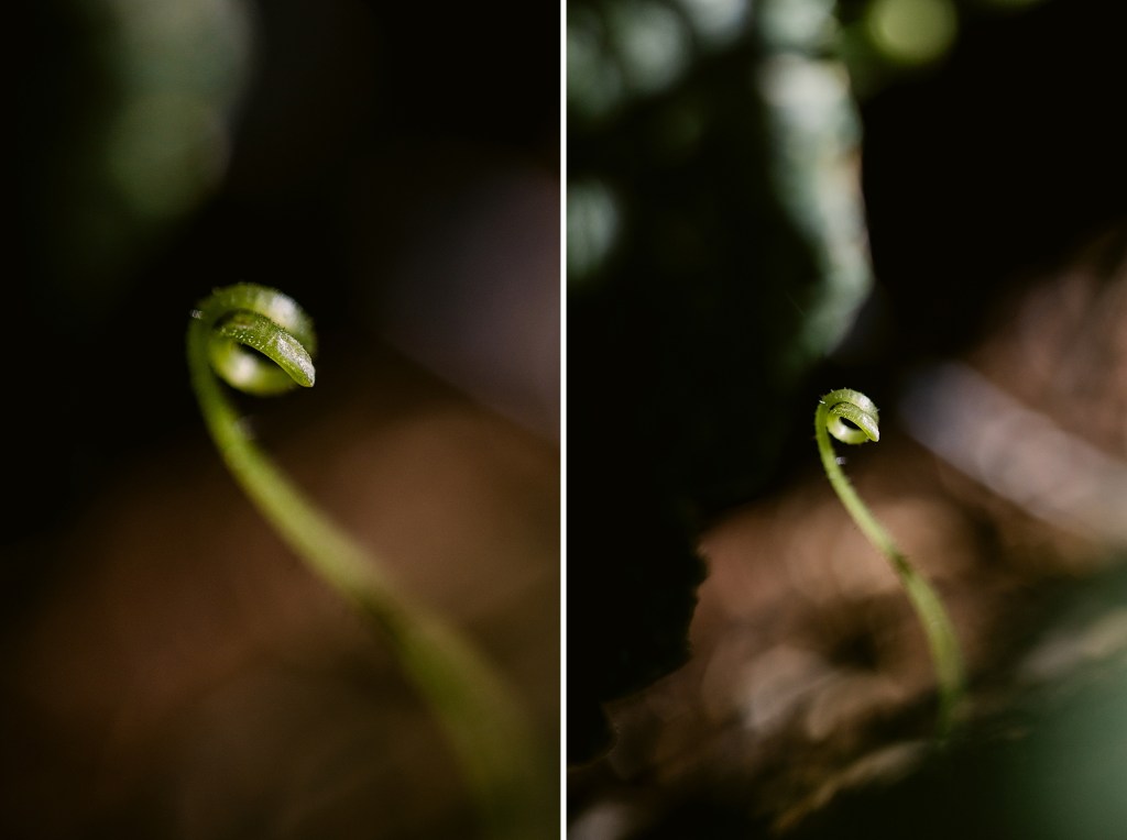 My Ordinary Day, fostering Spontaneous Creativity from the ordinary