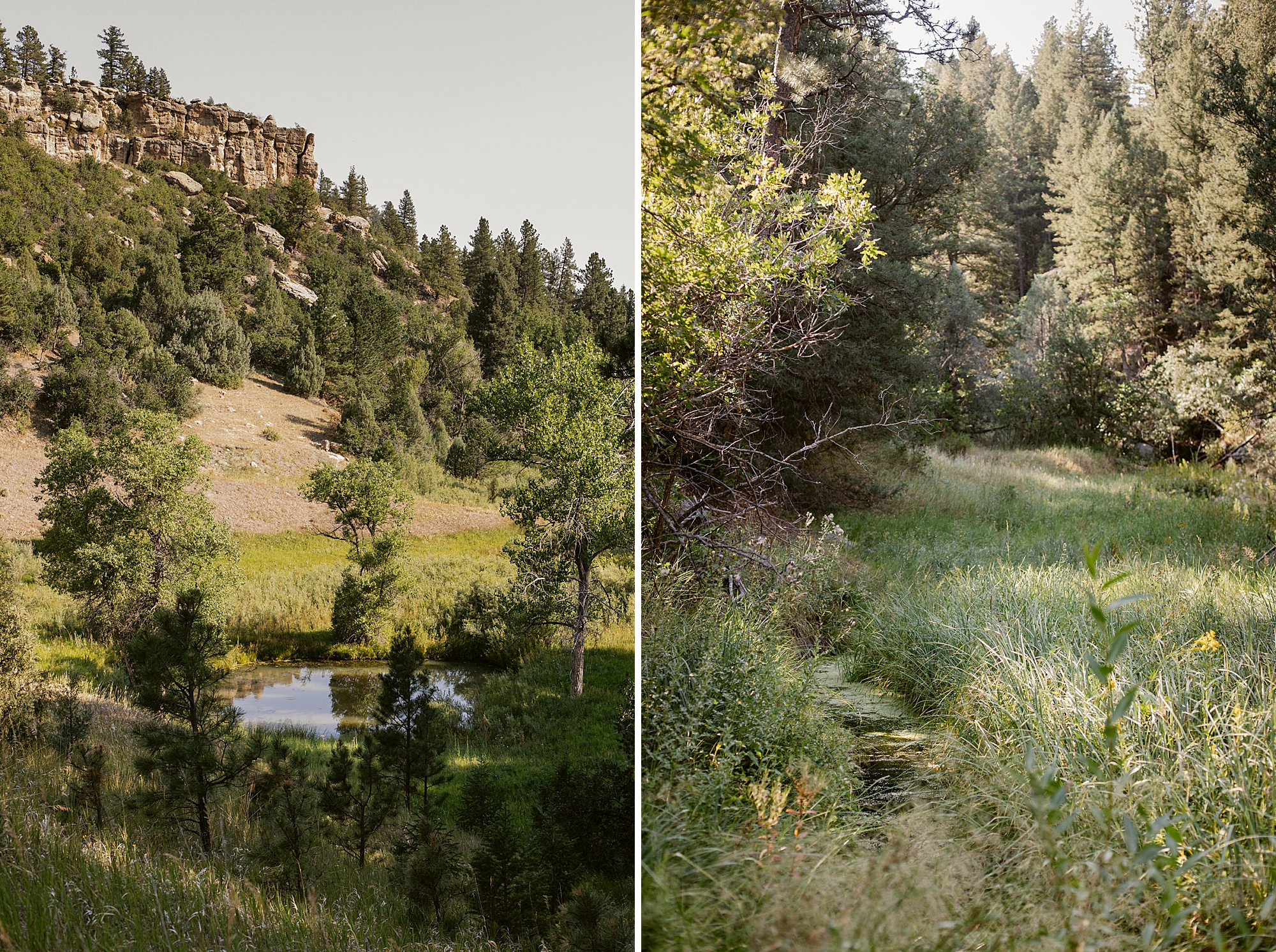 Lost Canyon Ranch trails in Castle Rock, Colorado