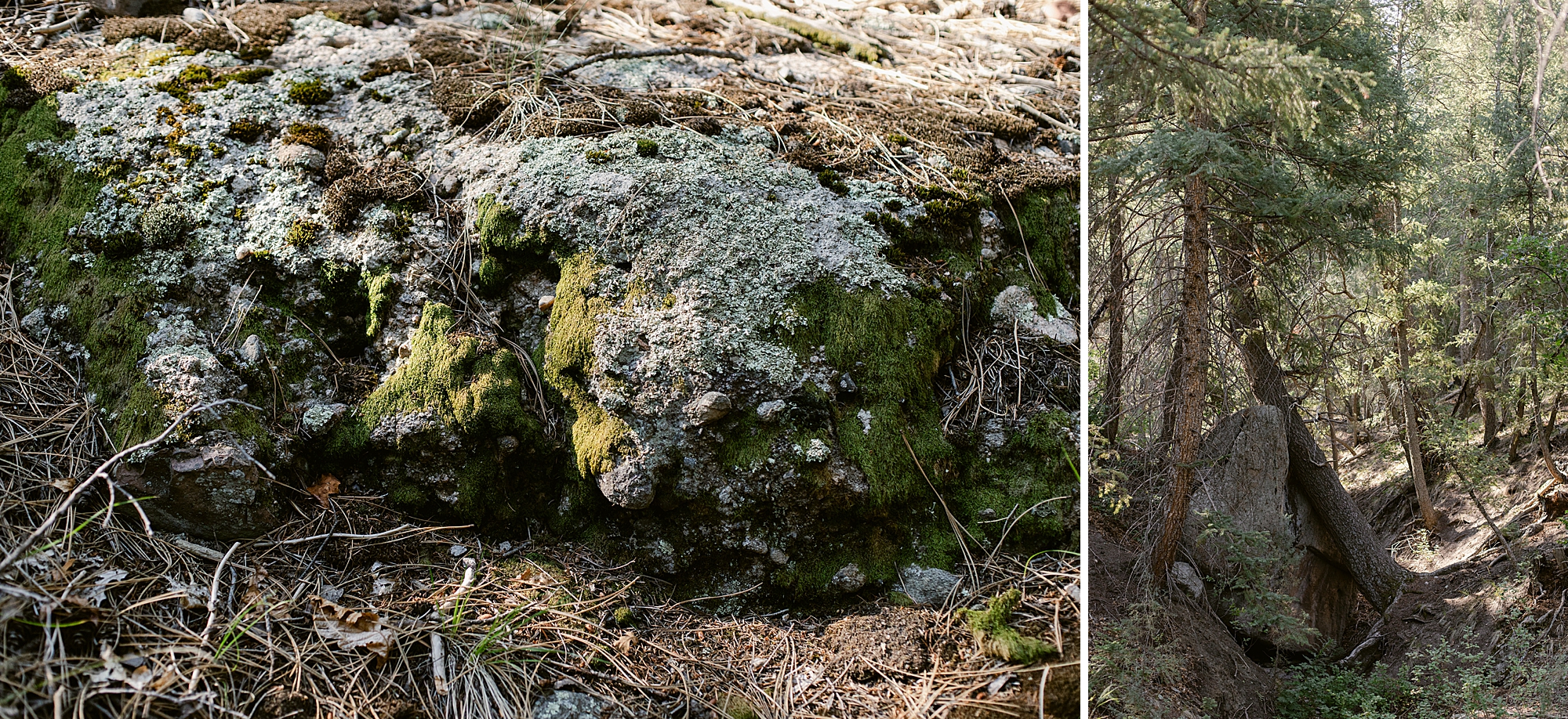 Lost Canyon Ranch trails in Castle Rock, Colorado
