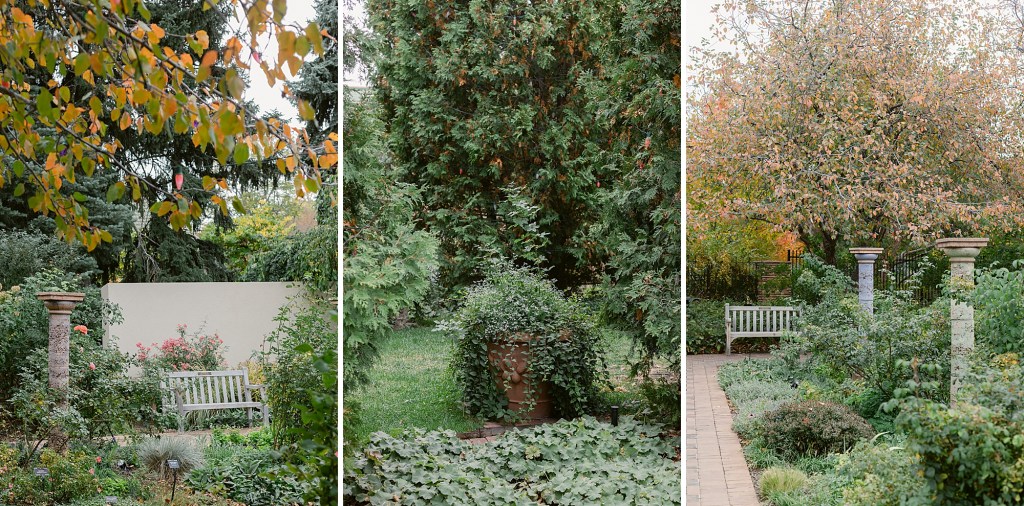 Autumn in the Denver Botanic Gardens photographed by Fine Art Photographer Brenda Landrum