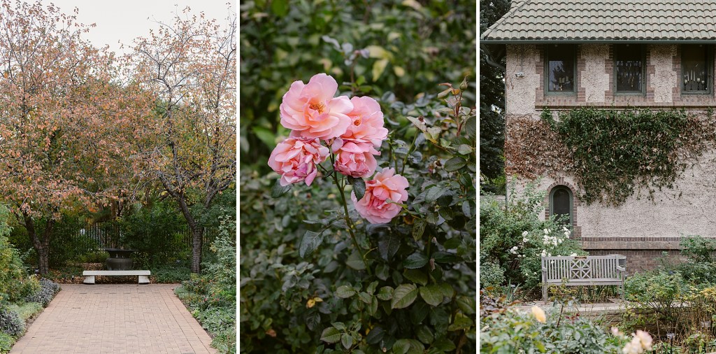 Autumn in the Denver Botanic Gardens photographed by Fine Art Photographer Brenda Landrum