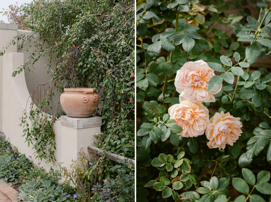 Autumn in the Denver Botanic Gardens photographed by Fine Art Photographer Brenda Landrum