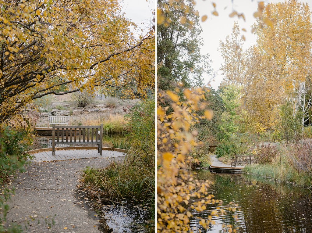 Autumn in the Denver Botanic Gardens photographed by Fine Art Photographer Brenda Landrum
