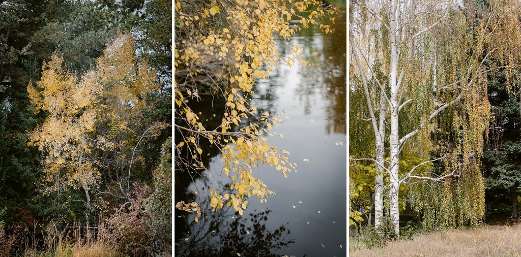 Autumn in the Denver Botanic Gardens photographed by Fine Art Photographer Brenda Landrum