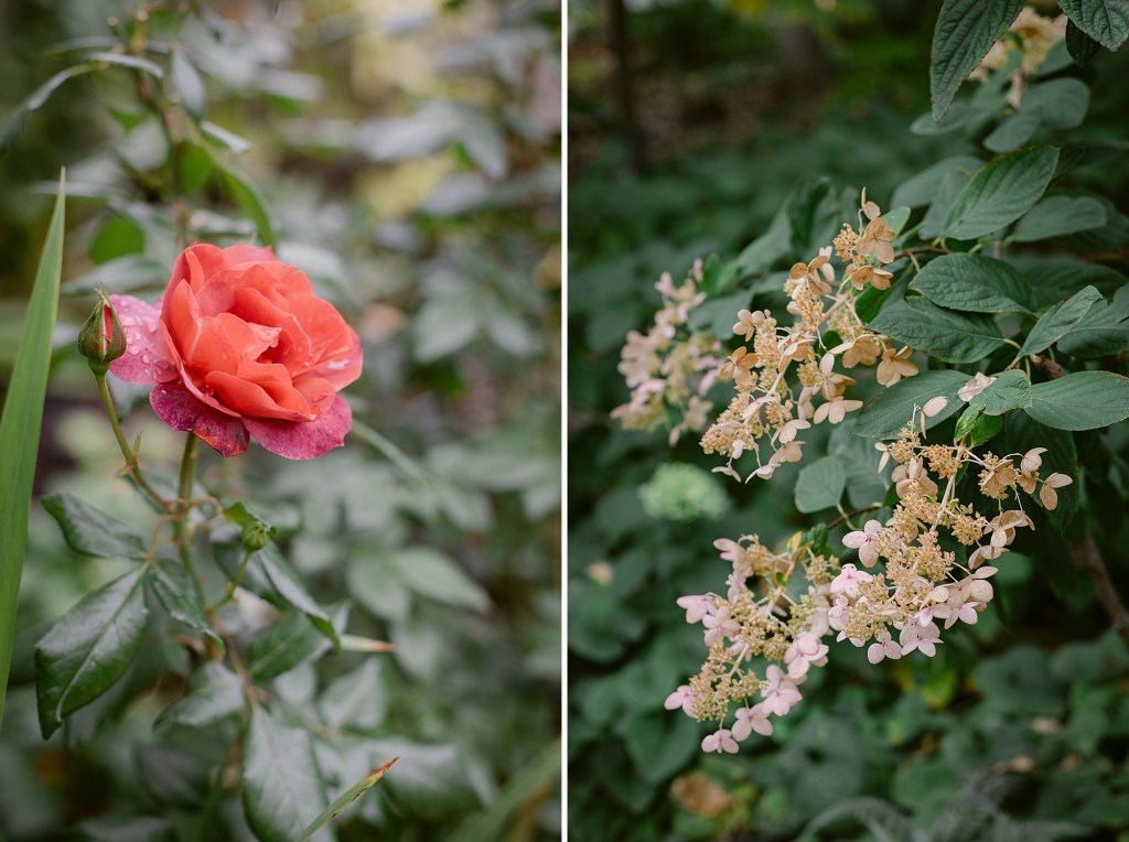Autumn in the Denver Botanic Gardens photographed by Fine Art Photographer Brenda Landrum